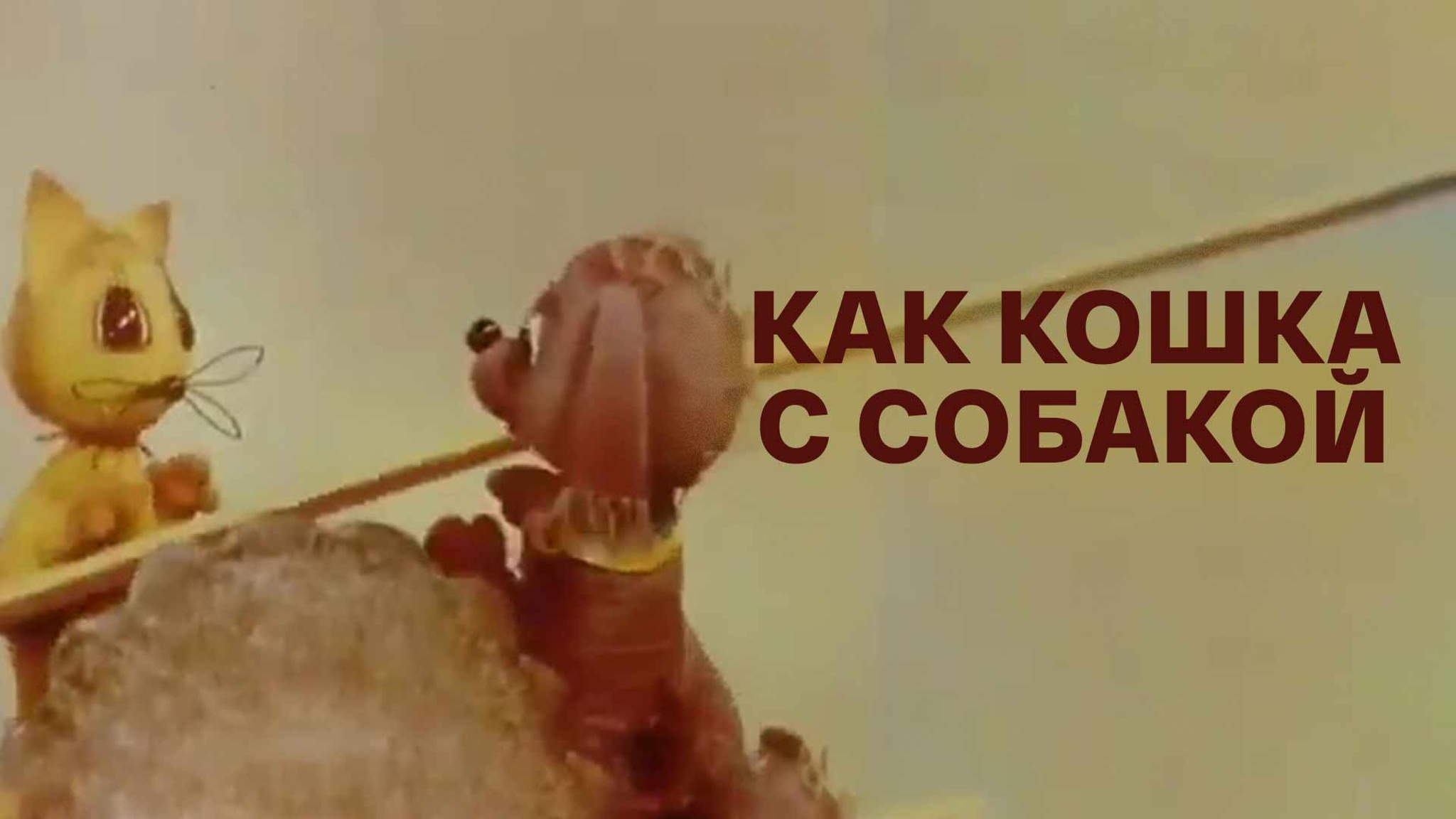 Как кошка с собакой