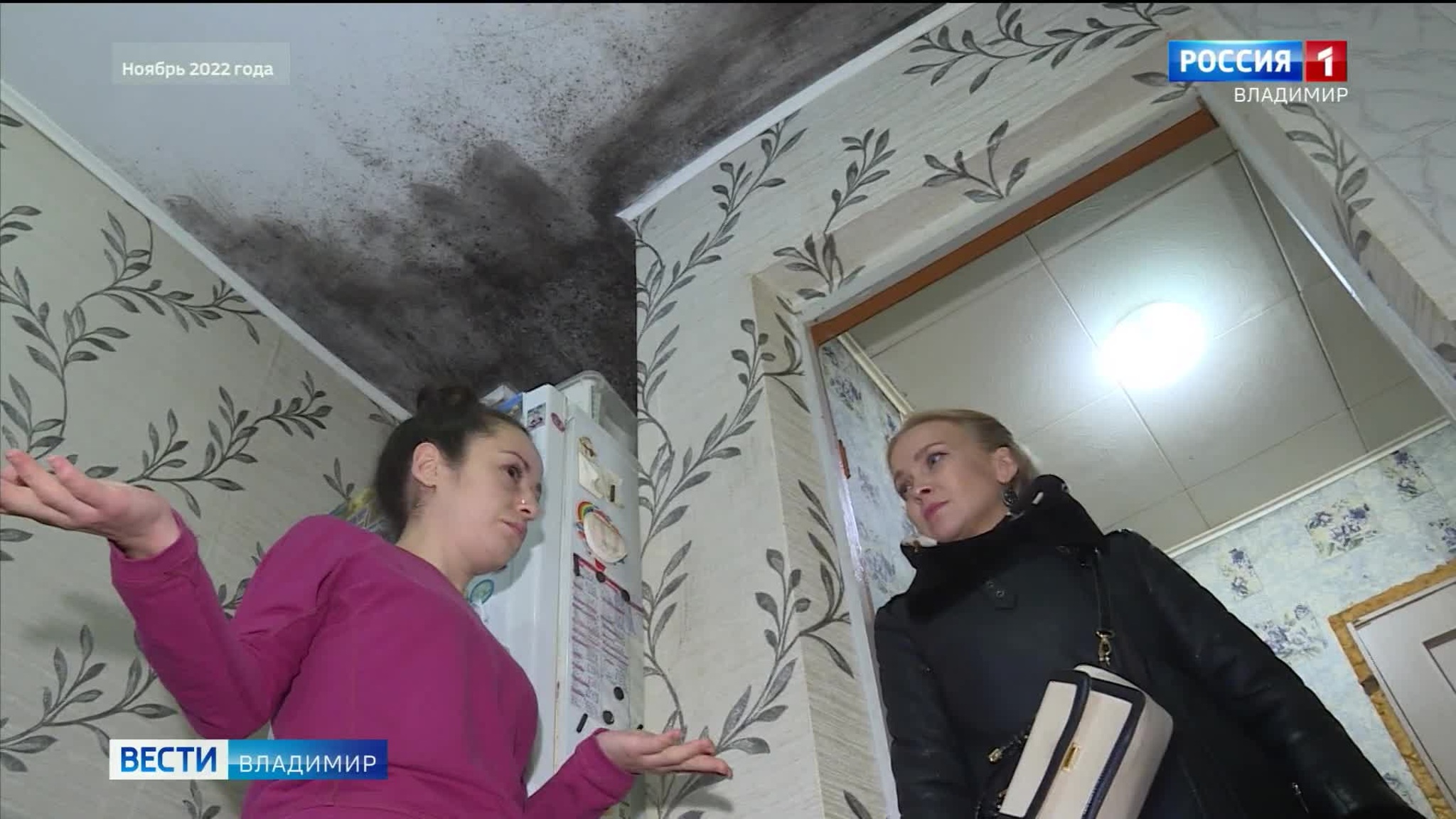 Жители аварийного дома с плесенью побывали на приеме в мэрии Владимира