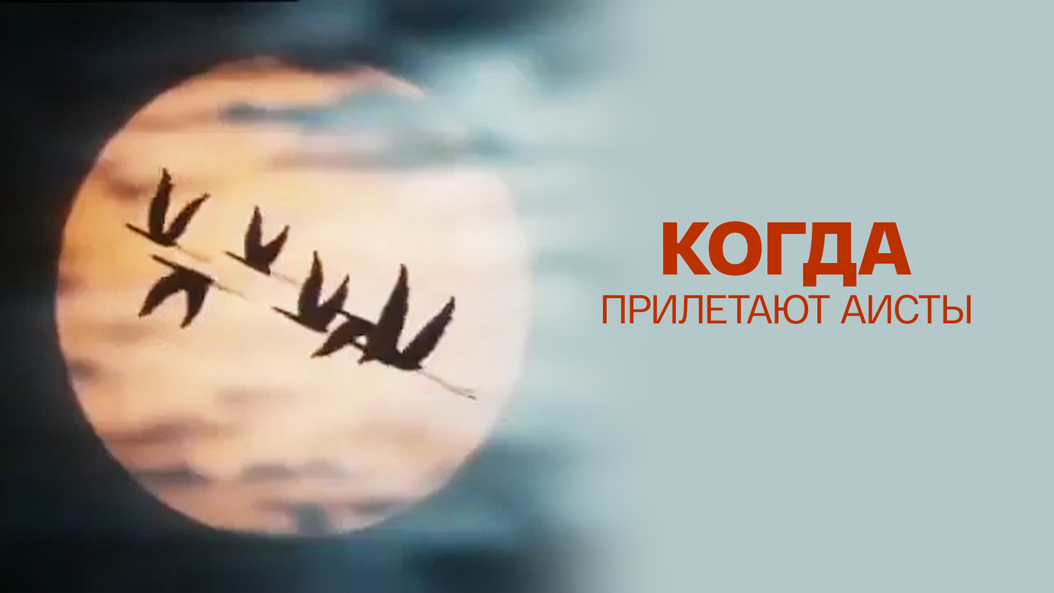 Когда прилетают аисты