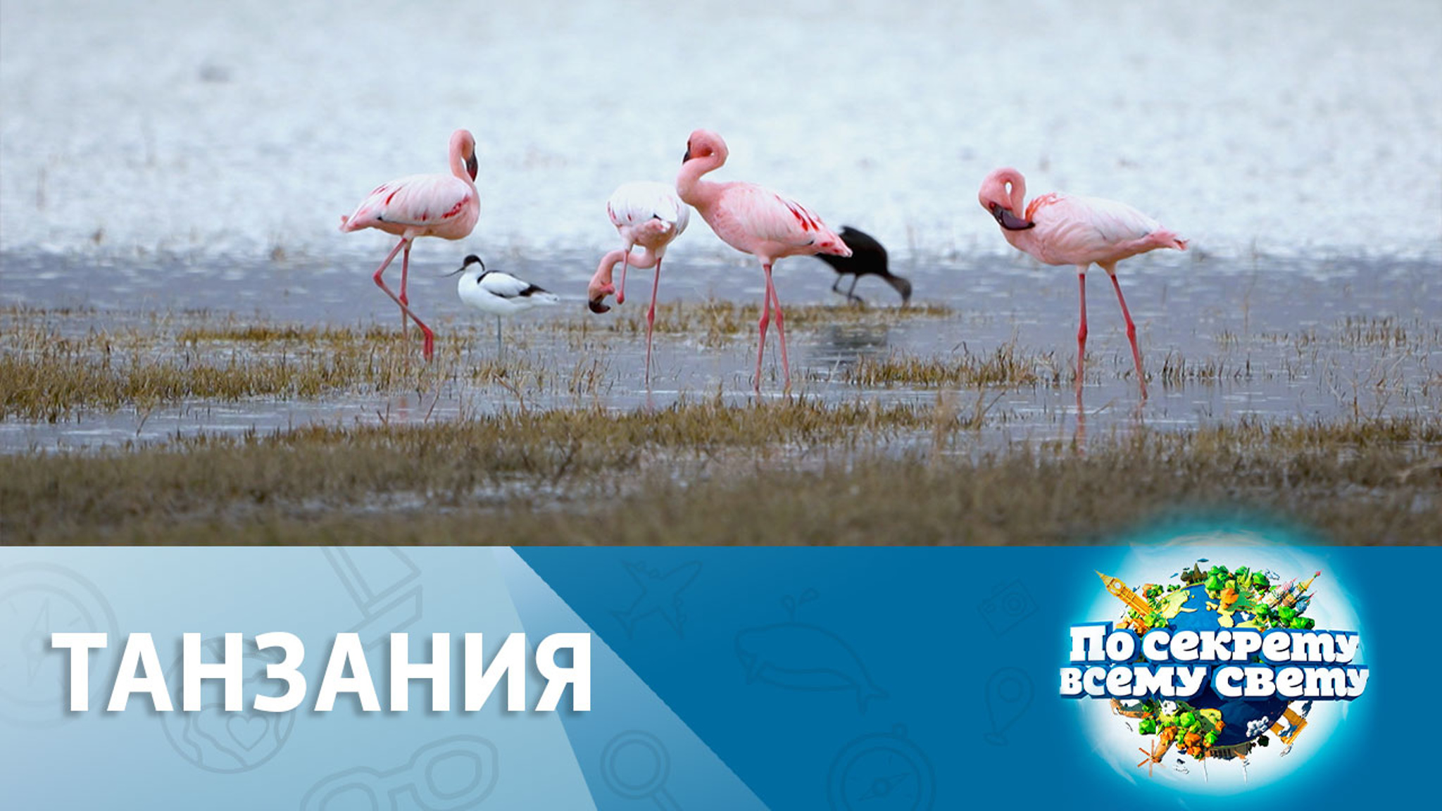 Танзания. Часть 1. Эфир от 28.01.2023