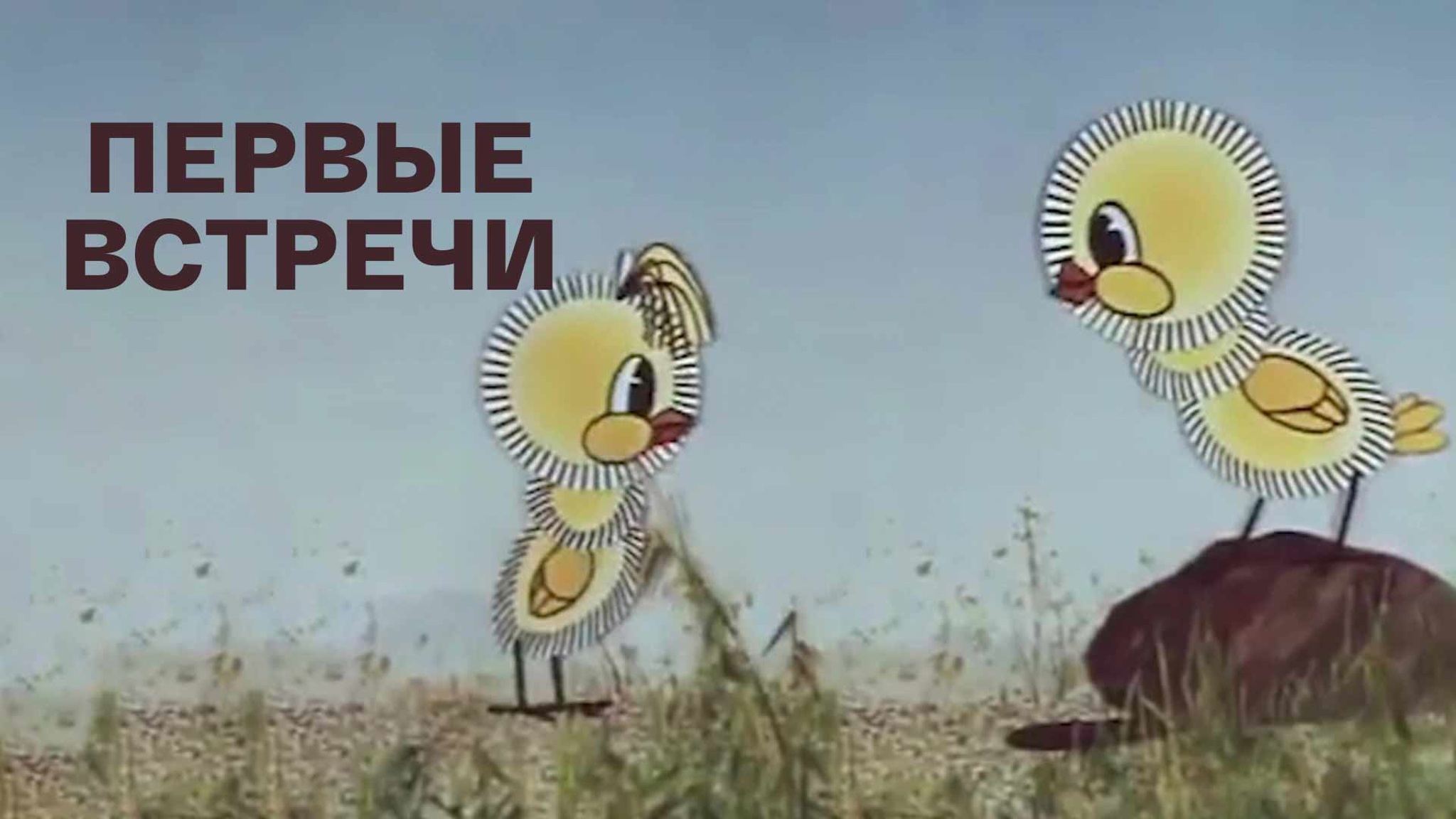 Первые встречи
