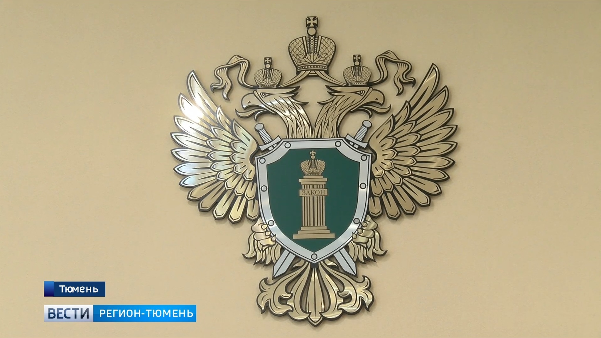 Дело о нападении стаффтерьера на ребенка в Тюмени взято на контроль прокурора