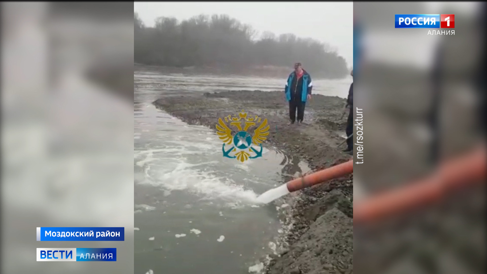 В русло Терека в Моздокском районе выпустили мальков каспийского лосося