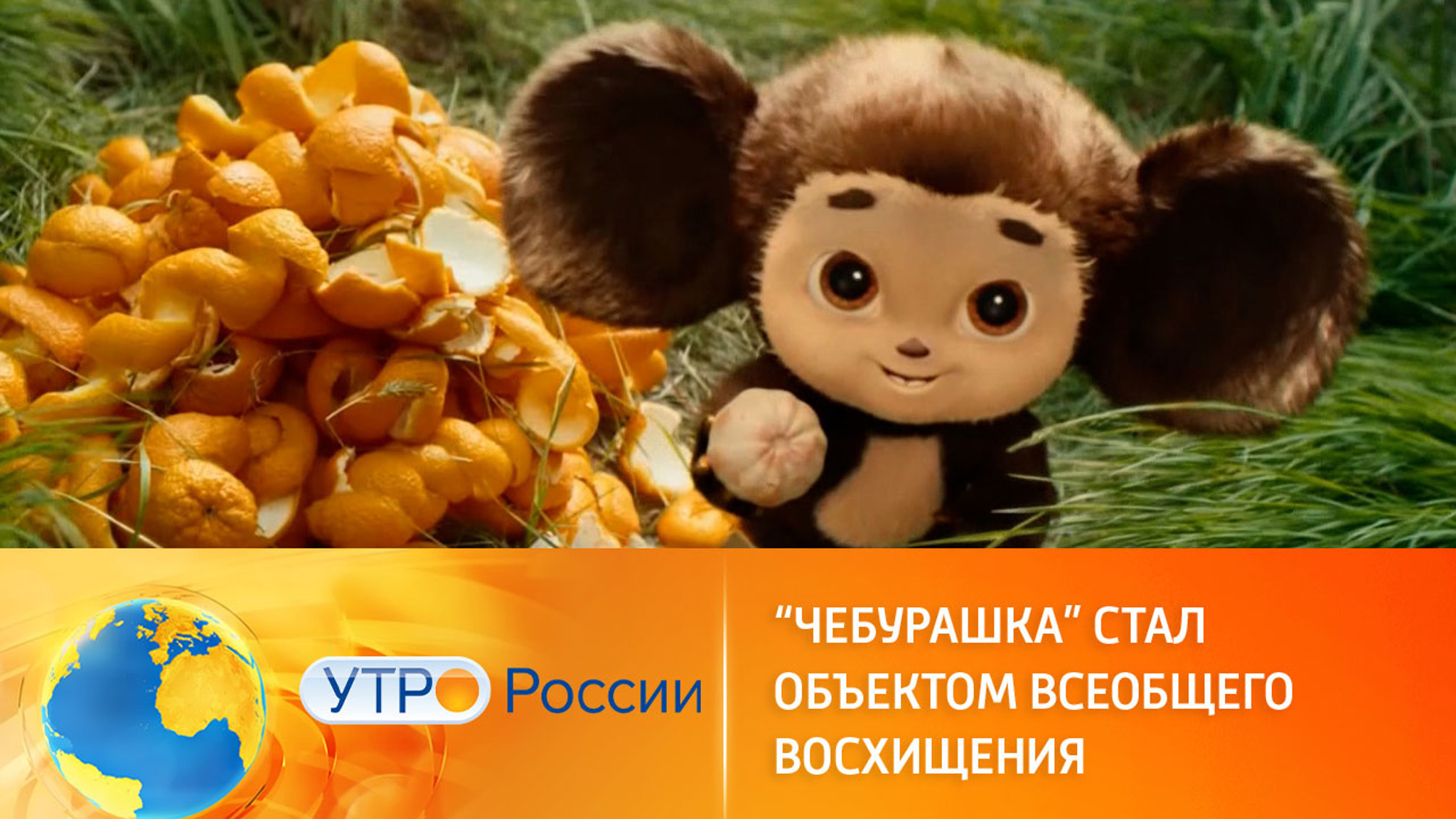 "Чебурашка" собирает полные залы по всей стране
