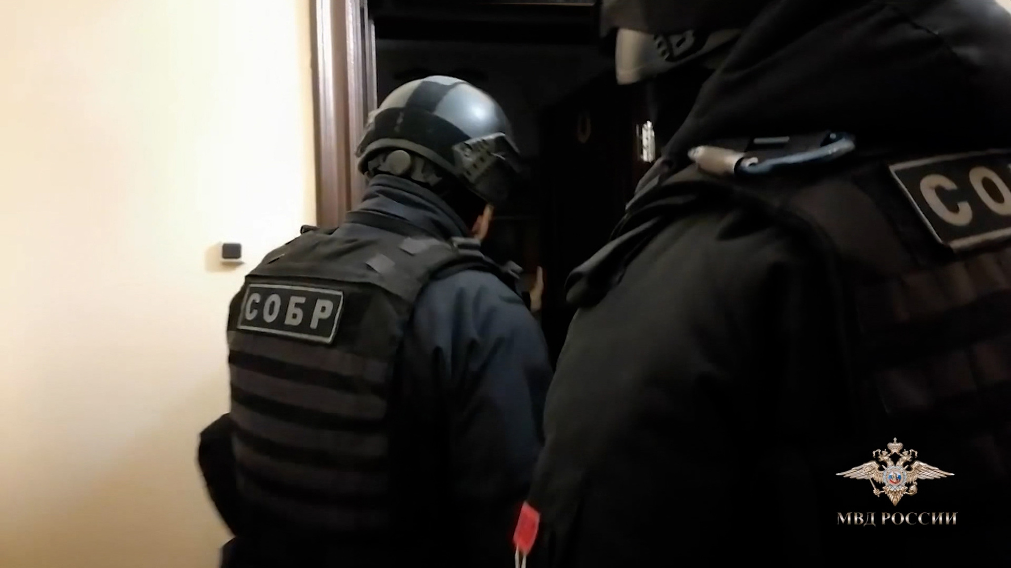"Черные" лесорубы наносят Иркутской области многомиллионный ущерб