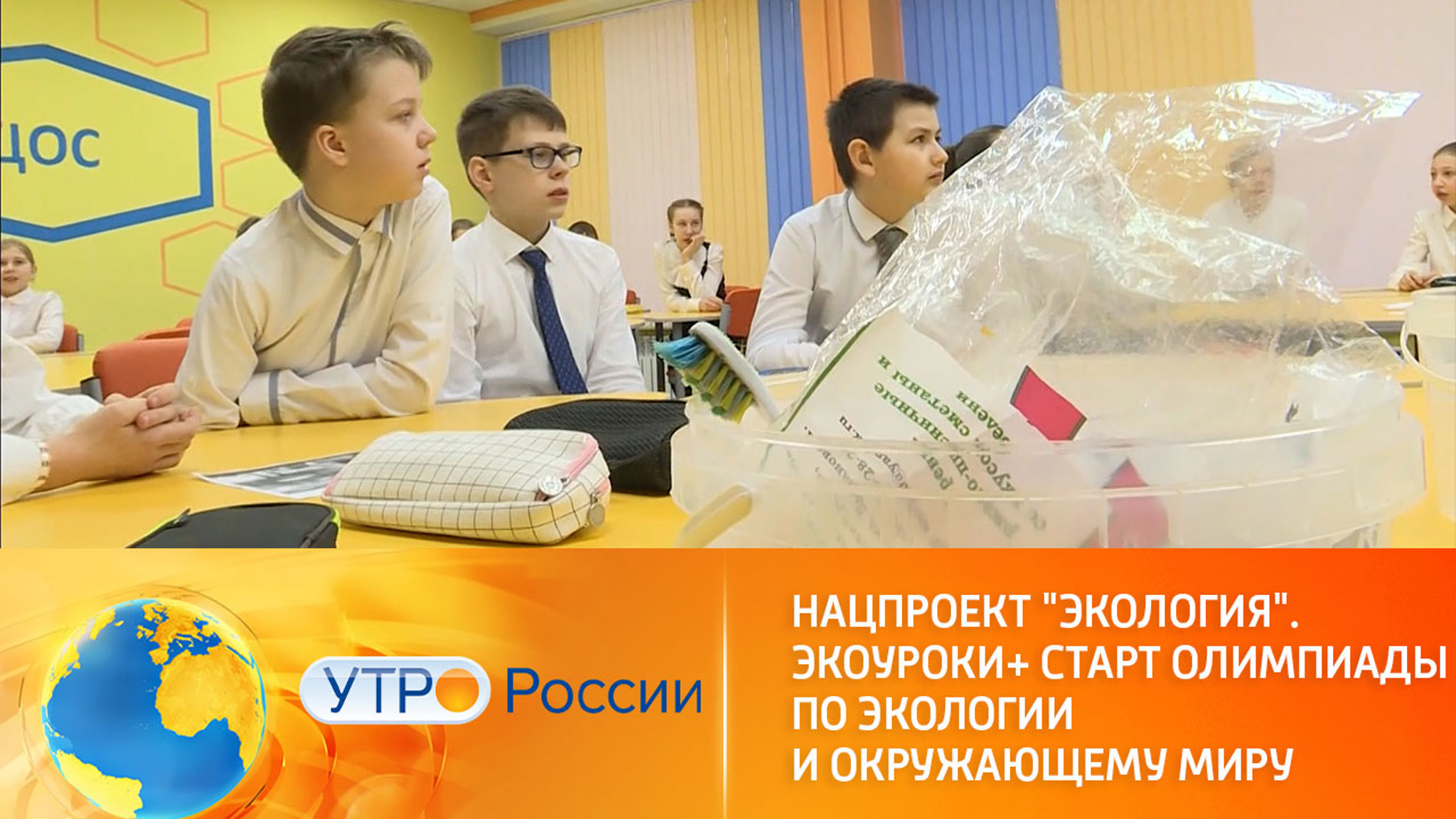 Всероссийская онлайн-олимпиада по экологии и окружающему миру