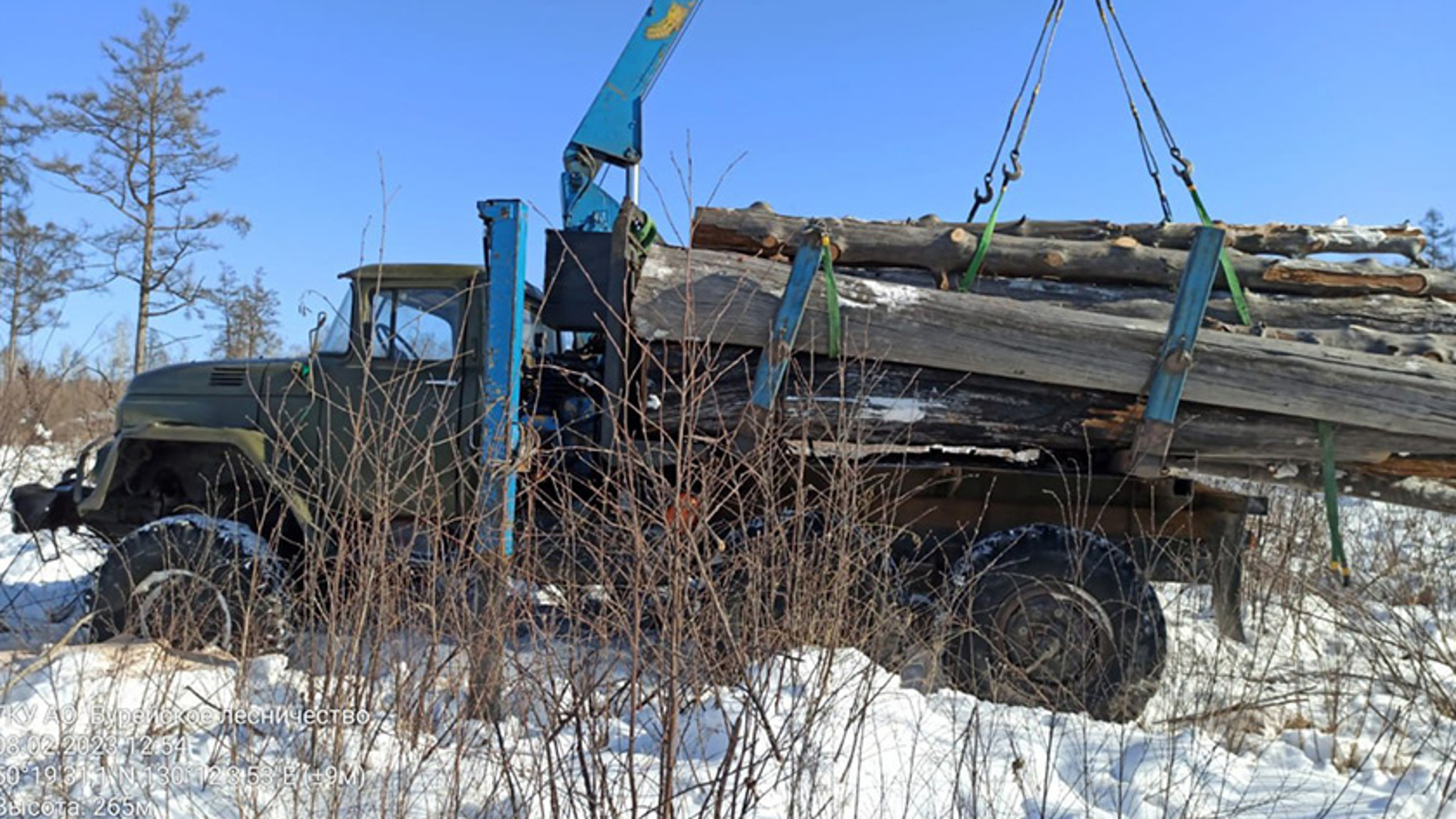 Сразу двоих лесорубов поймали в Бурейском лесничестве за один день