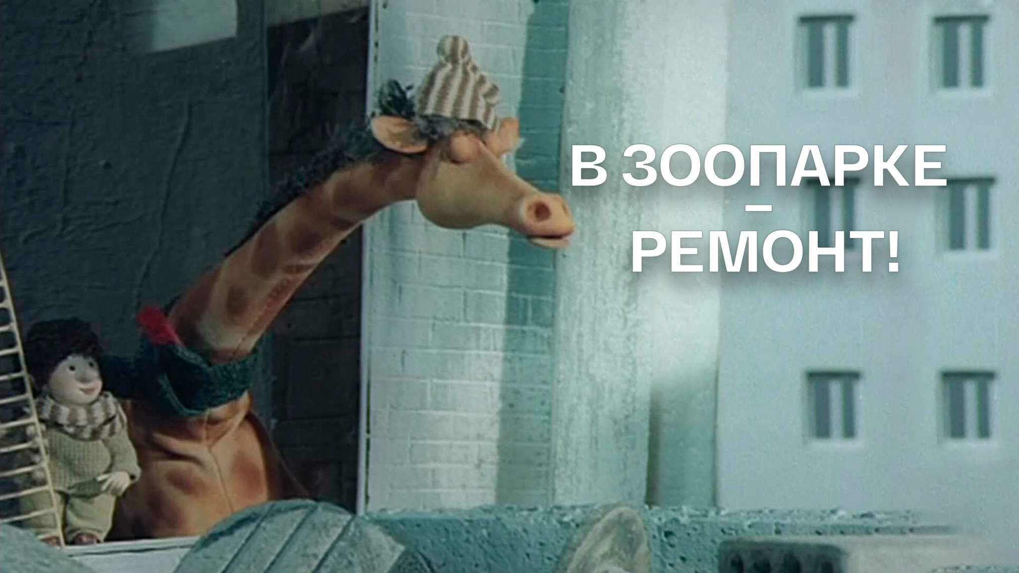 В зоопарке – ремонт!