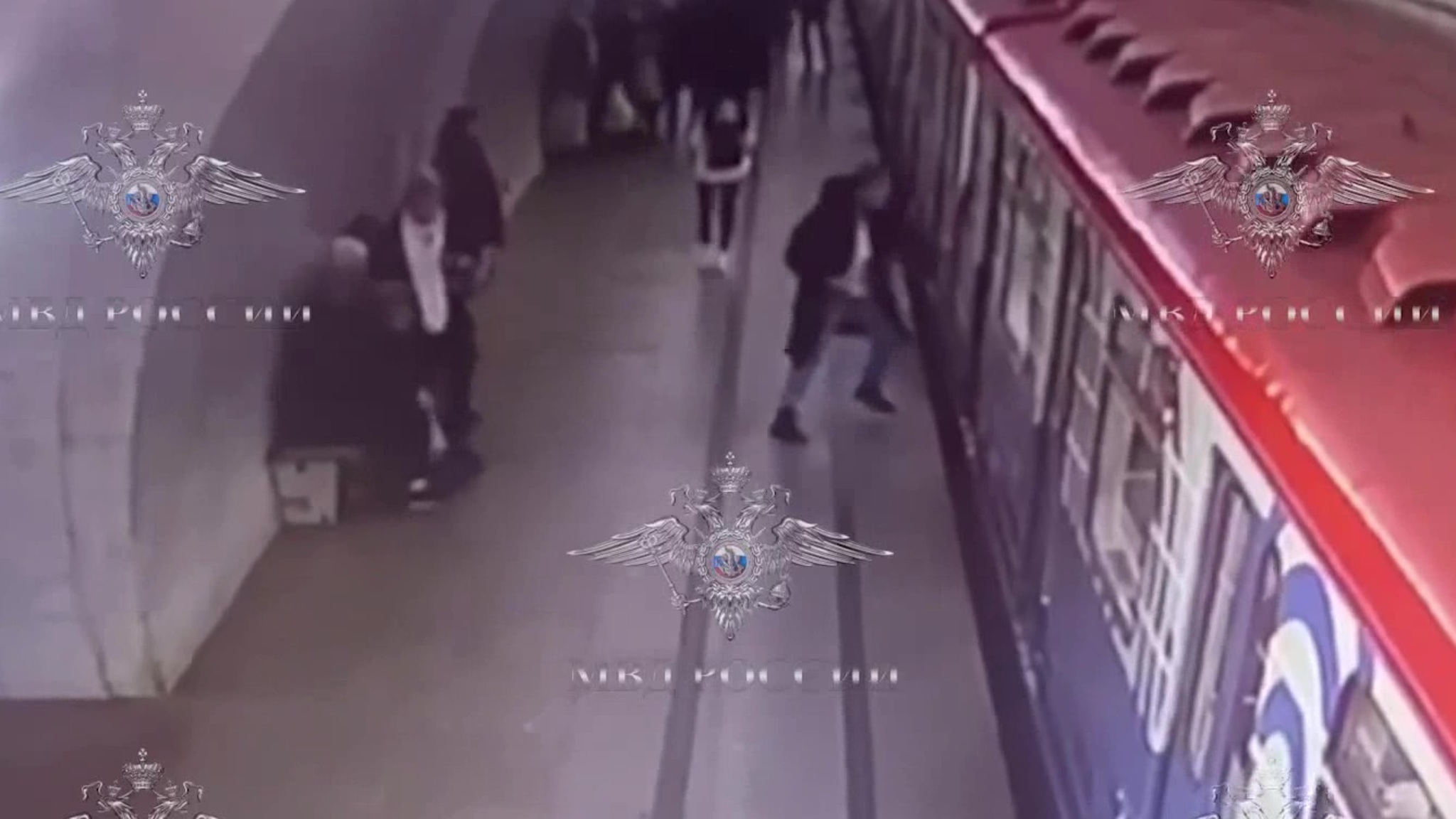 Буйный мигрант вступил в схватку с вагоном метро