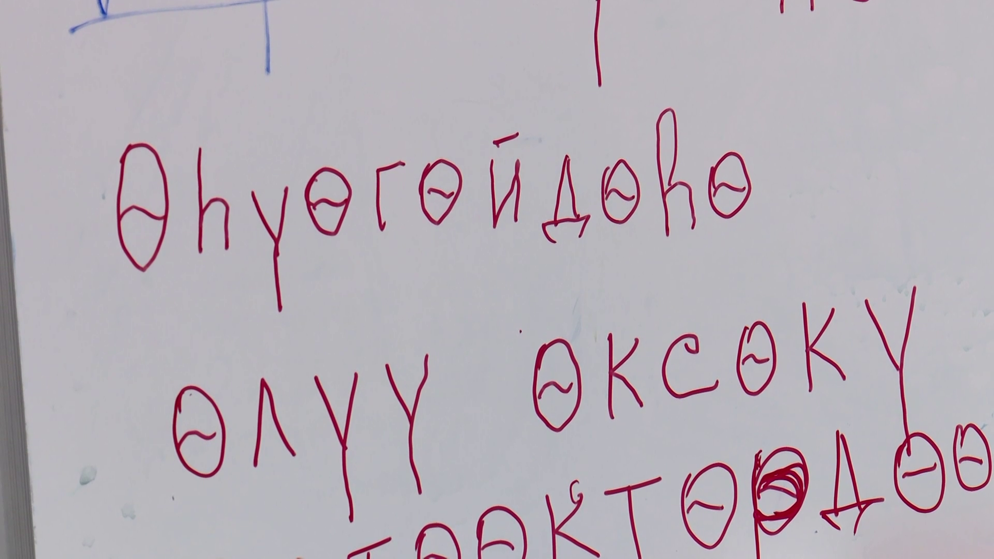 На Таймыре проходит заочный этап 4-го Всероссийского этнодиктанта