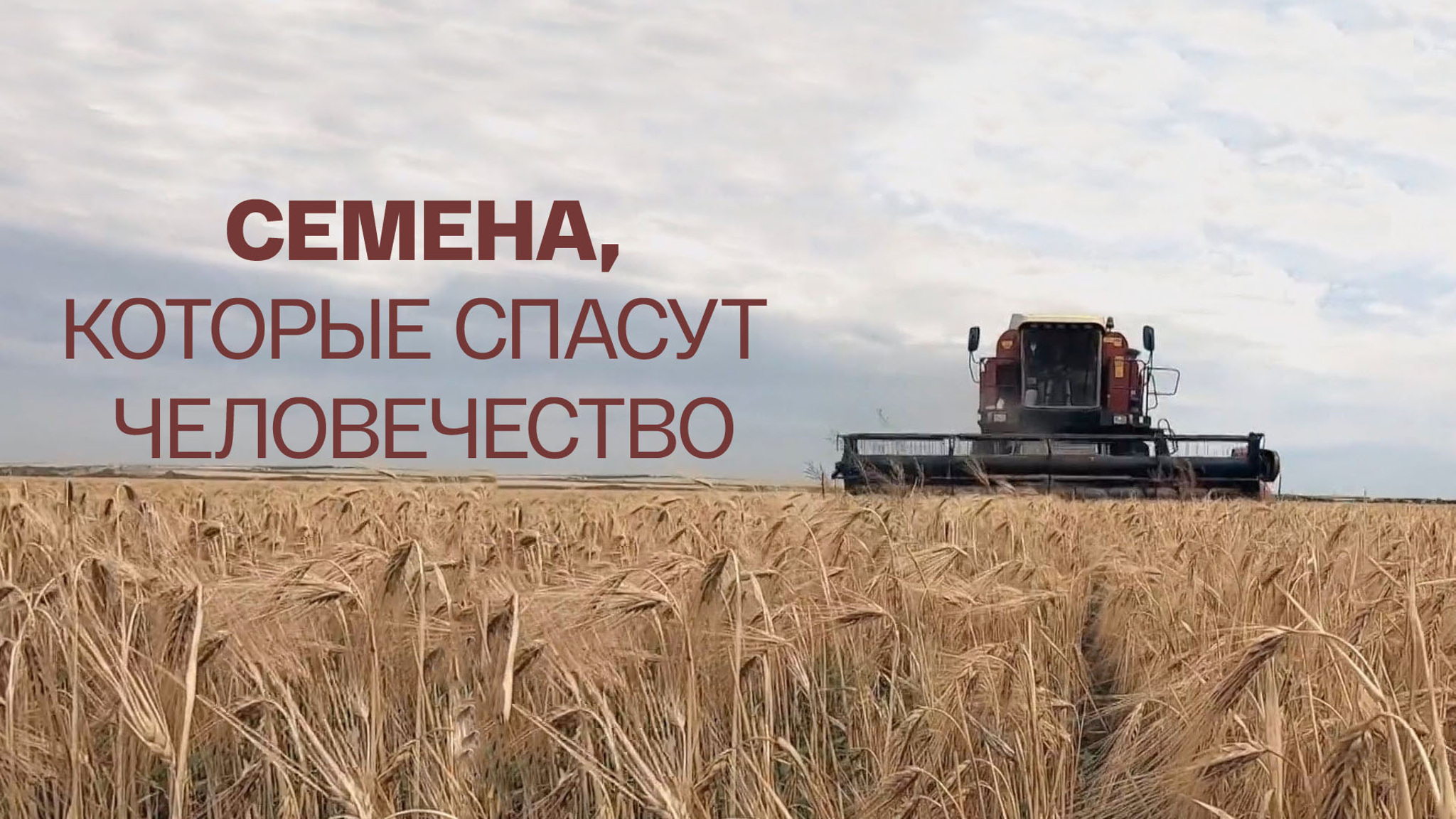 Семена, которые спасут человечество