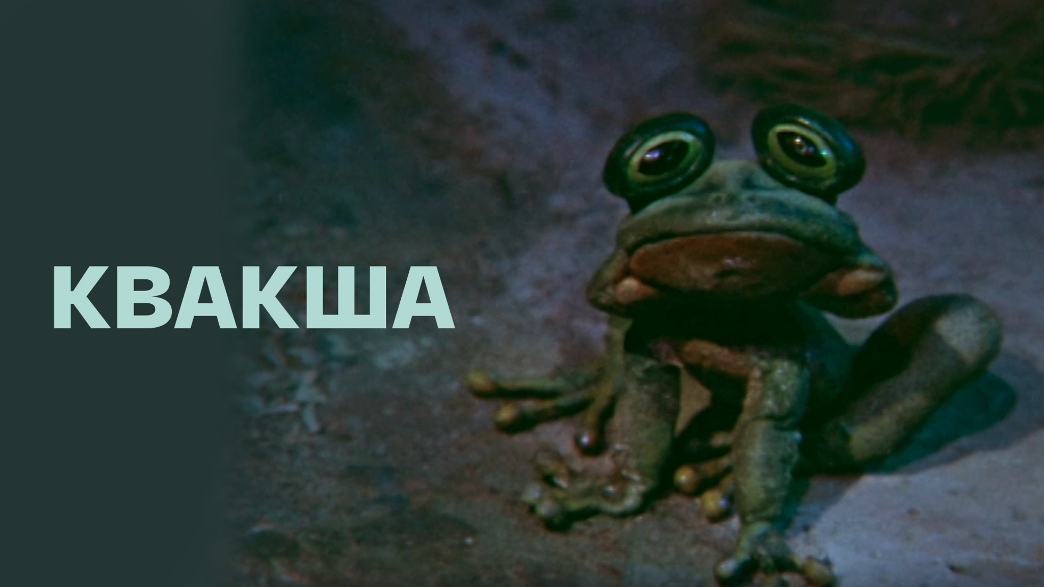 Квакша