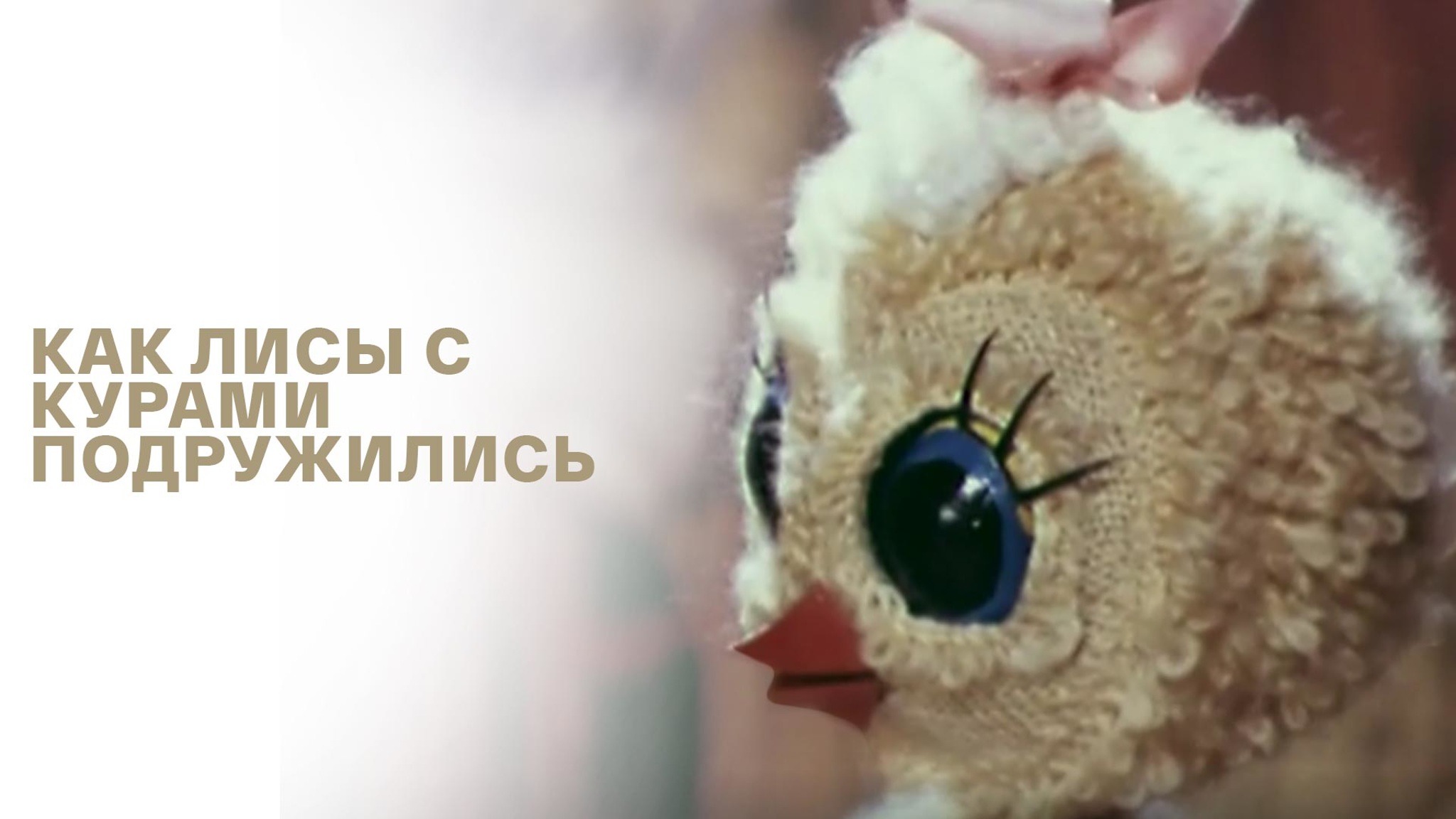 Как лисы с курами подружились...