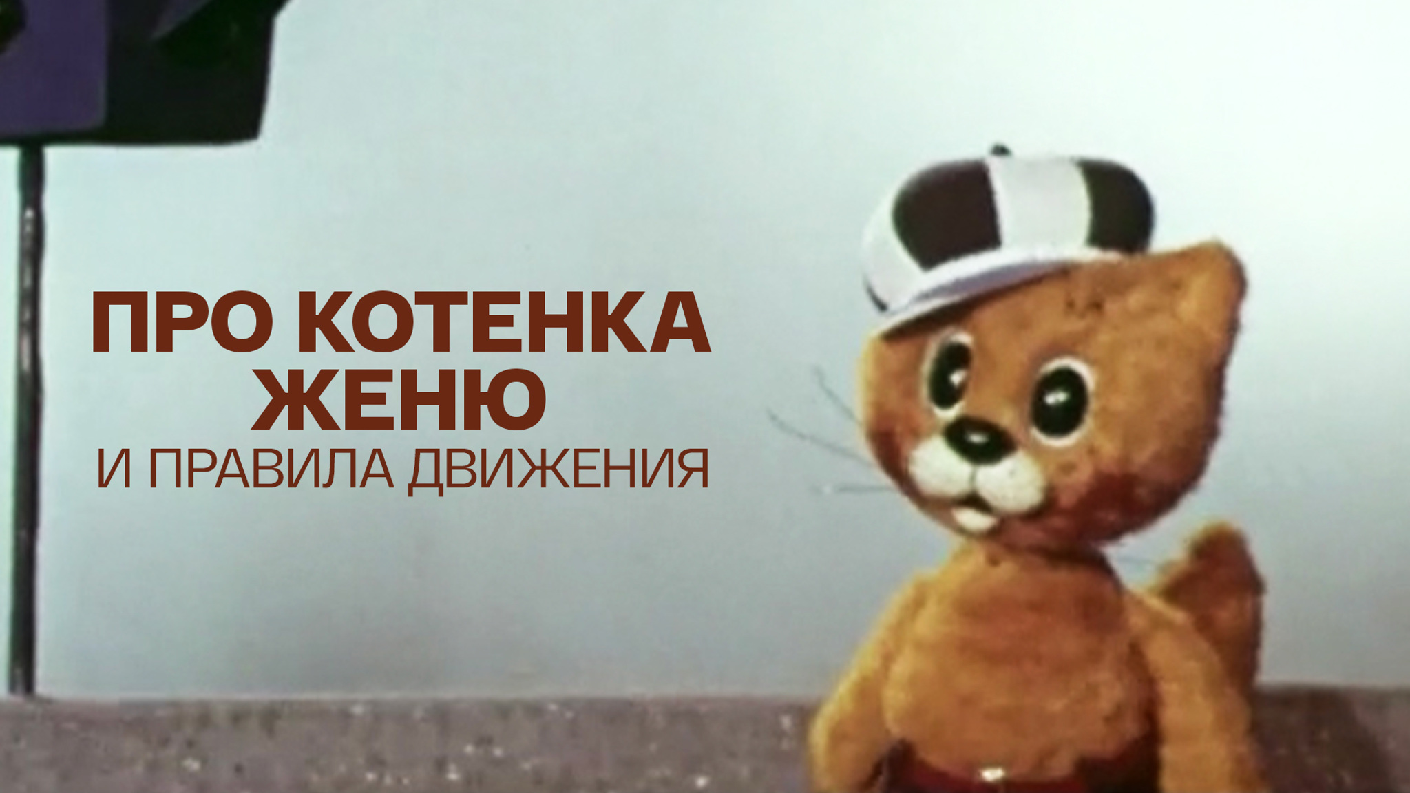 Про котенка Женю и правила движения