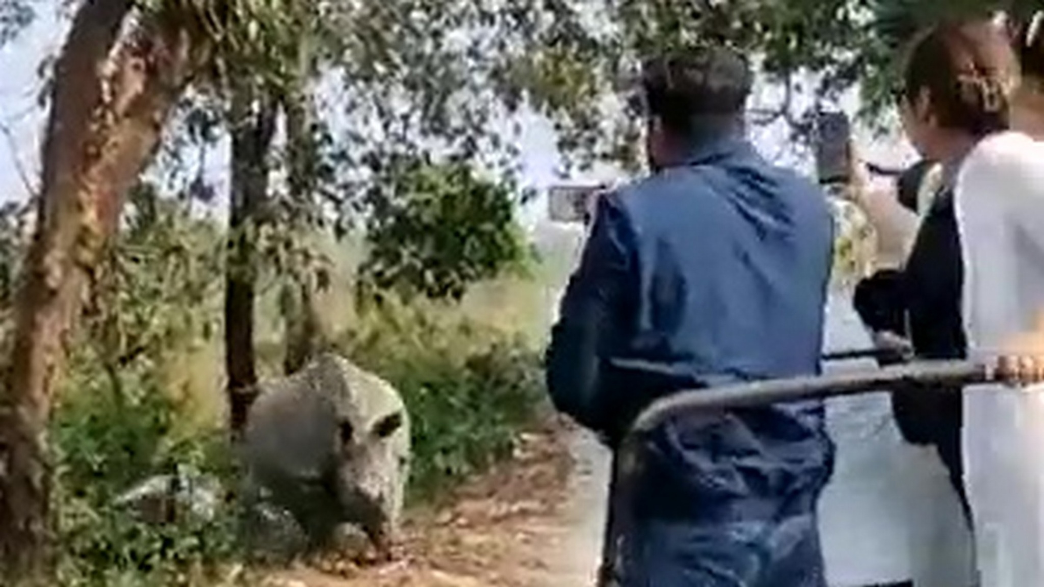 Внедорожник опрокинулся при виде агрессивных носорогов