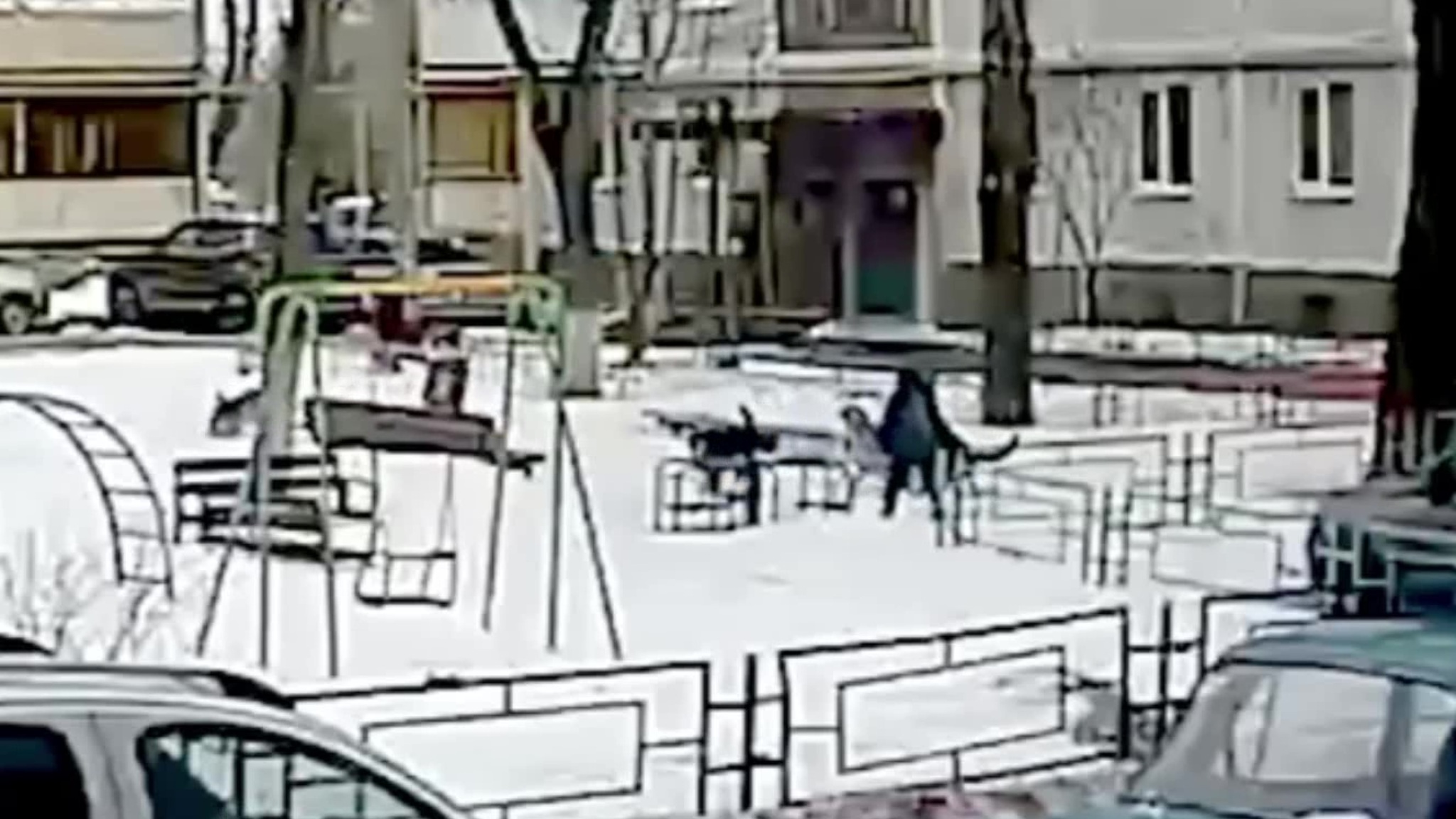 Школьник отбился от атаковавшей его стаи бродячих собак
