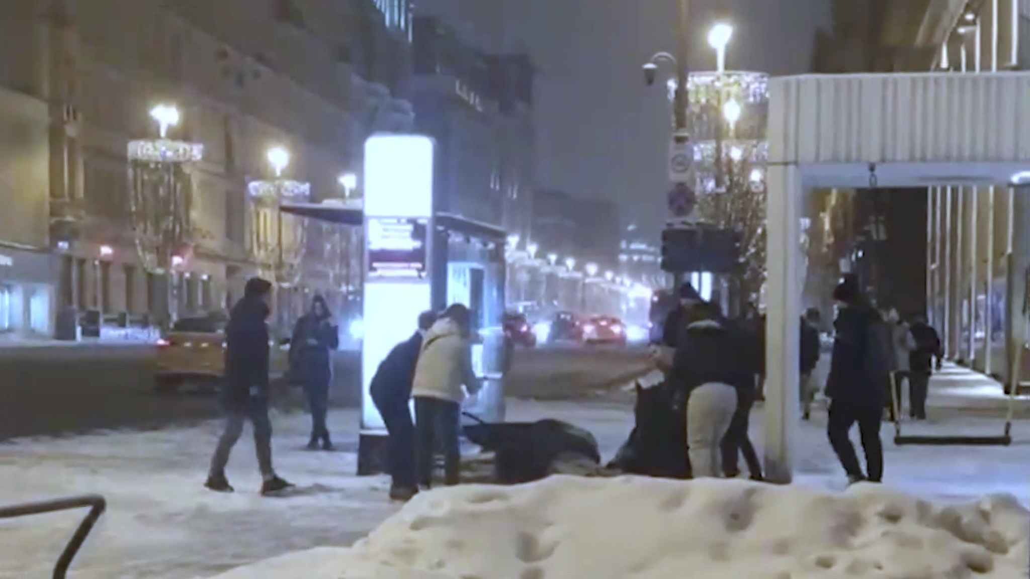 Госдума заинтересовалась гибелью лошади в центре Москвы