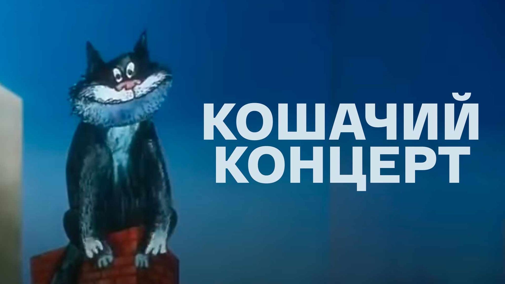 Кошачий концерт