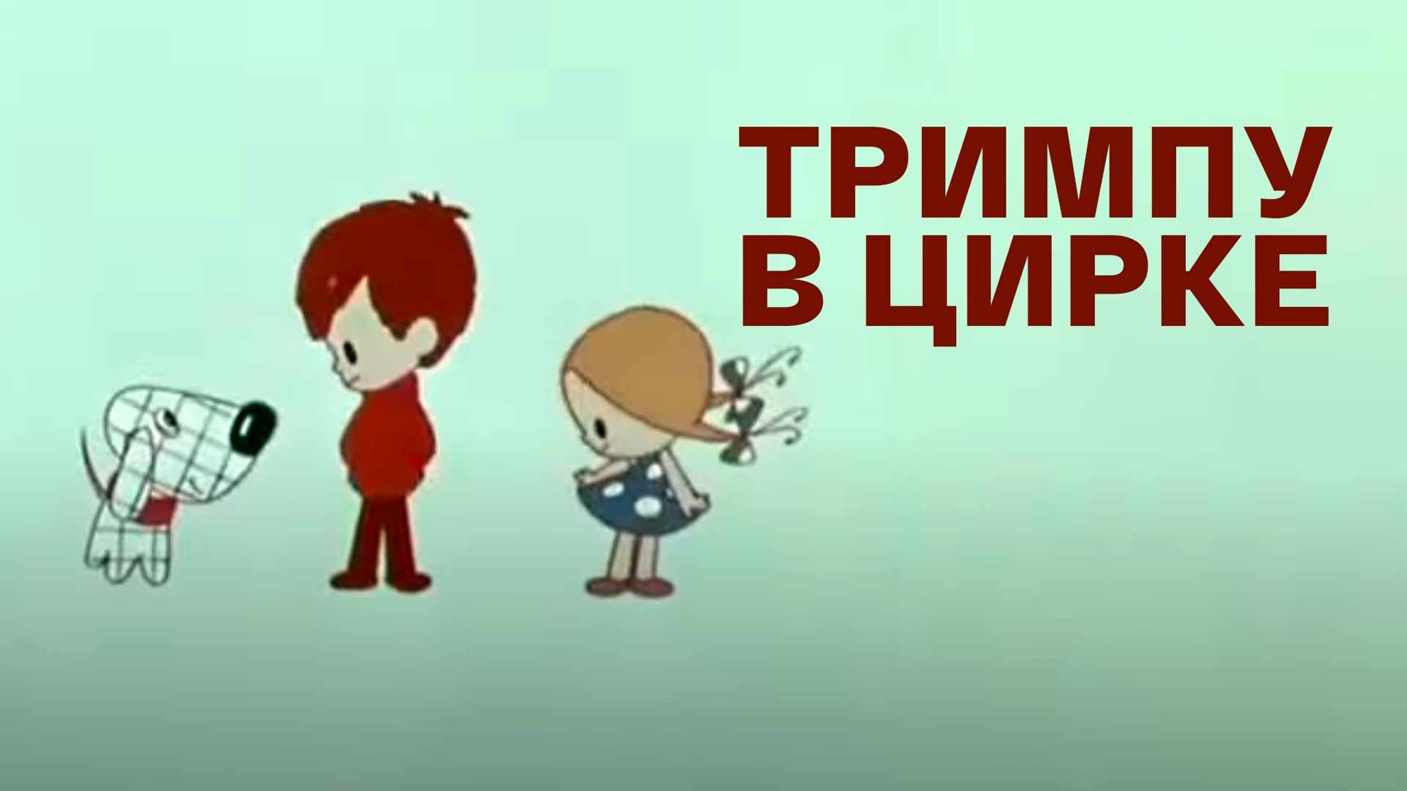 Тримпу в цирке