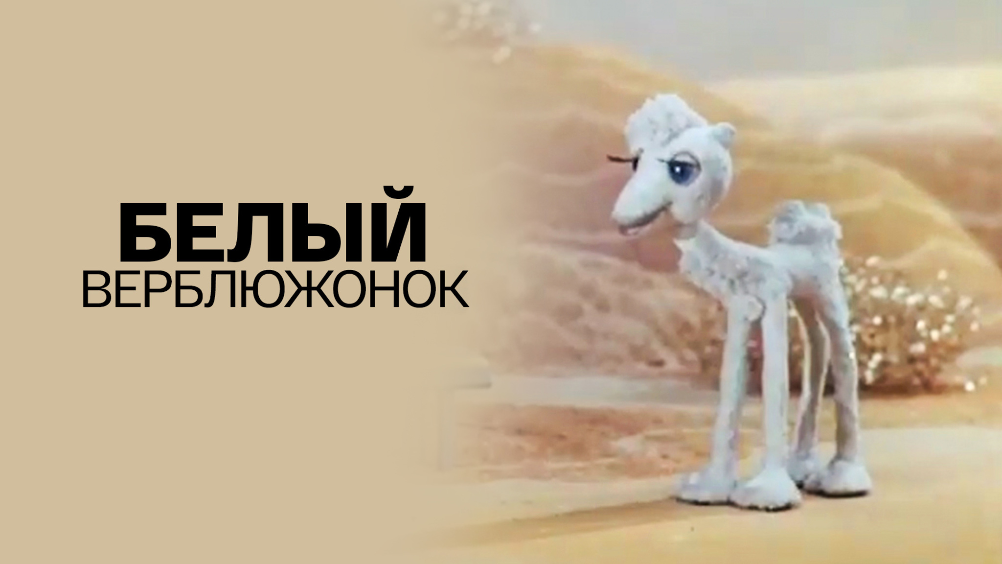 Белый верблюжонок