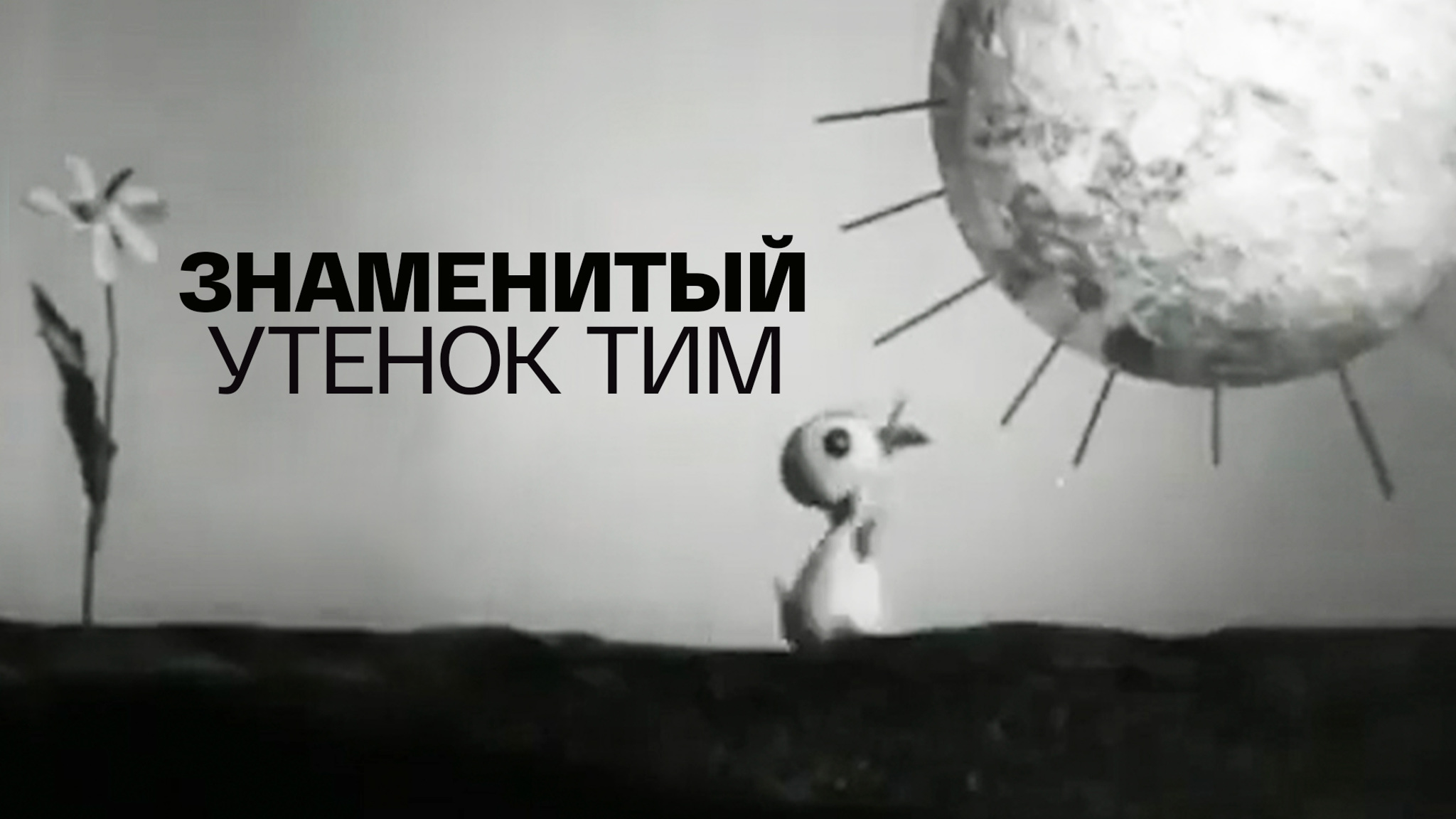 Знаменитый утенок Тим