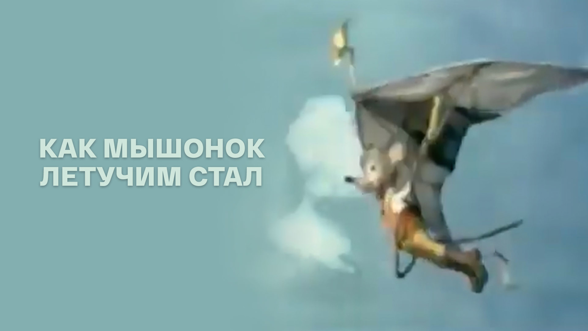 Как мышонок летучим стал
