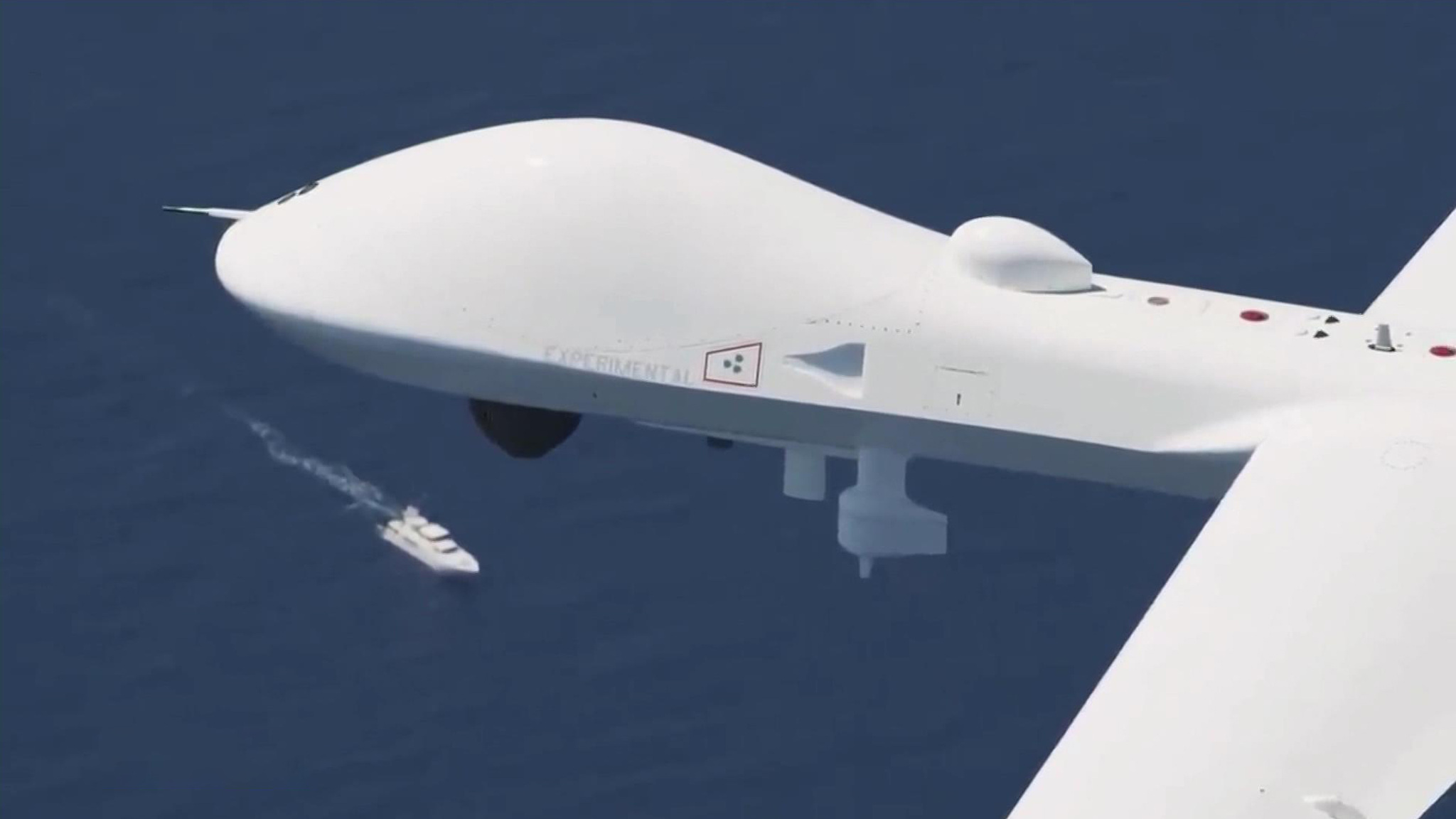Байдена назвали оленем в свете фар