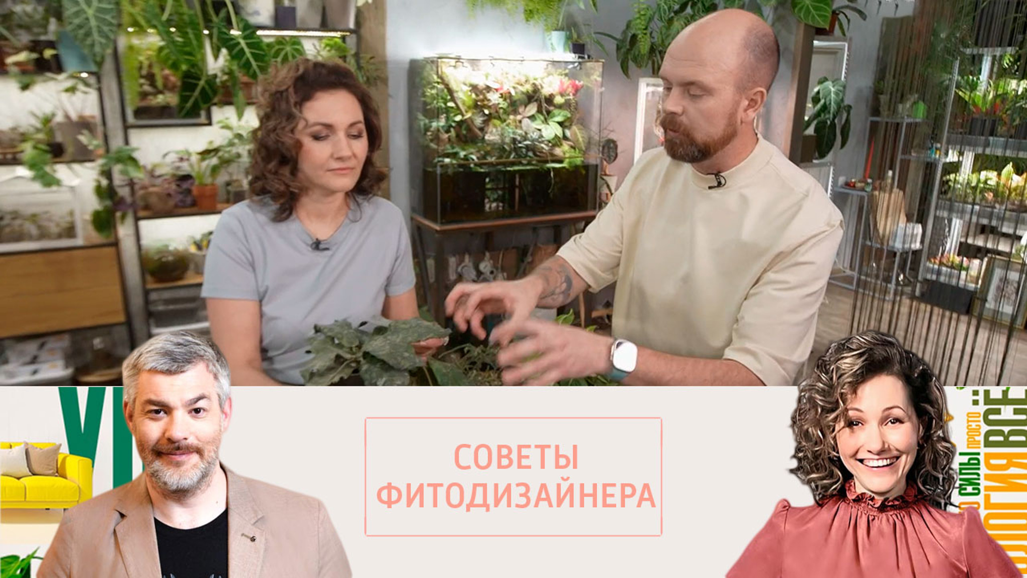 "Джунгли" под потолком в домашних условиях