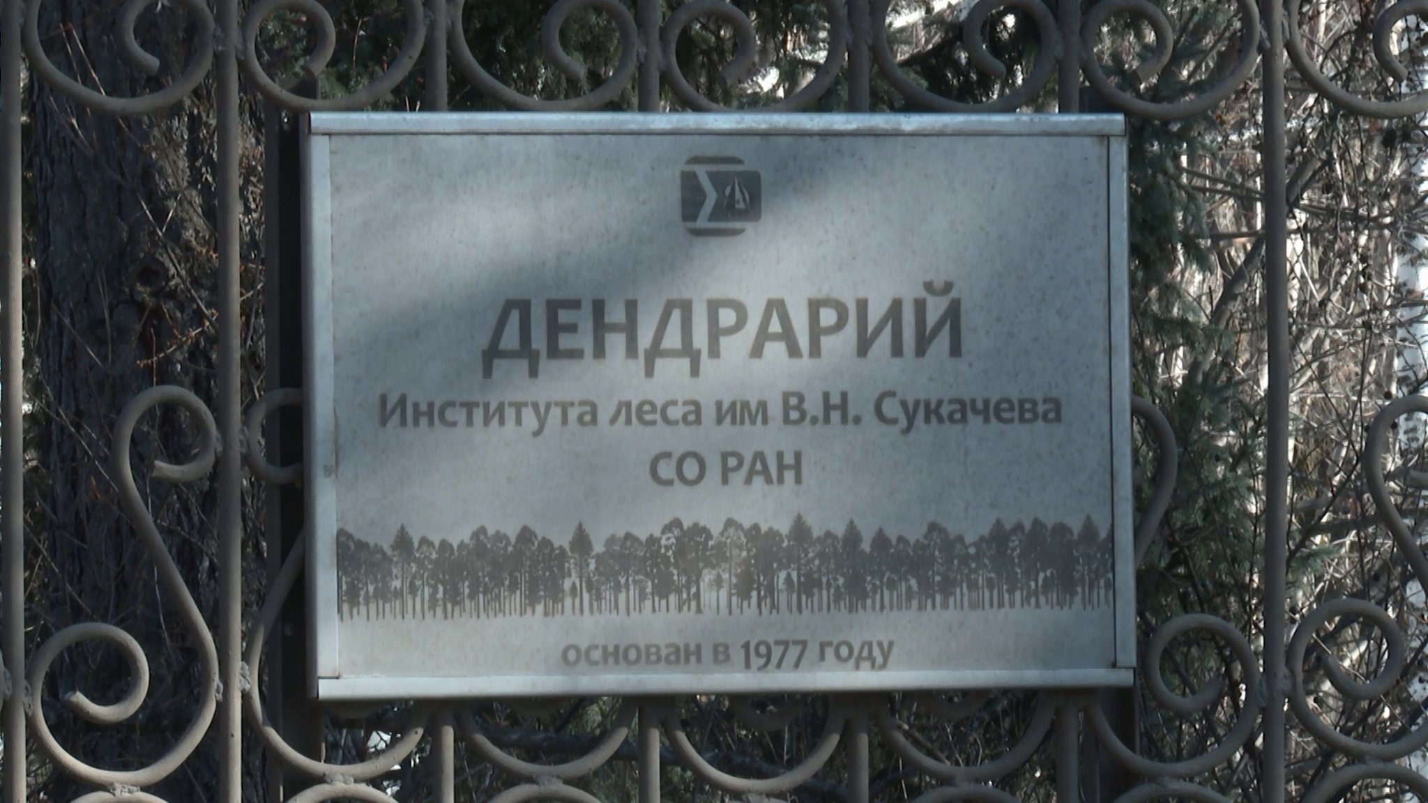 За красноярский дендрарий продолжается борьба
