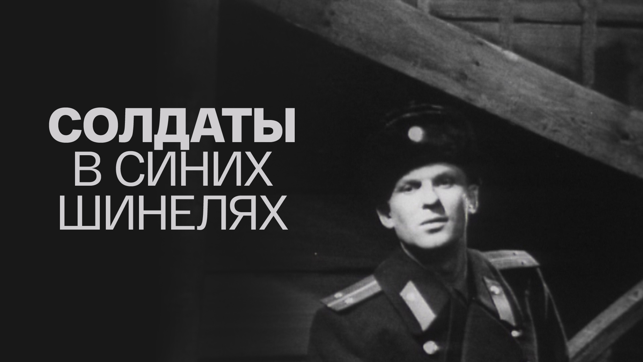 Солдаты в синих шинелях