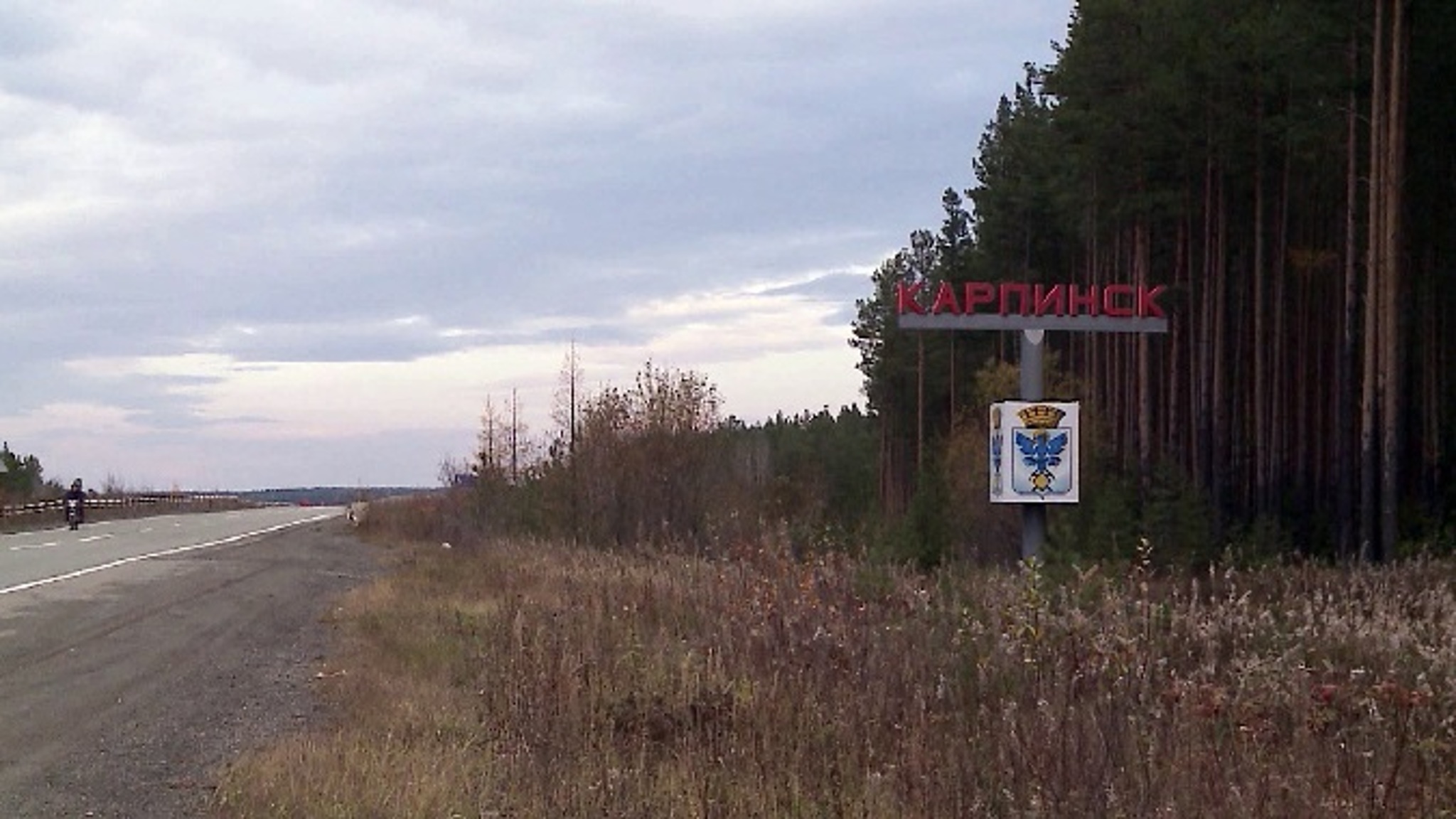 Двое подростков пострадали в Карпинске от нападения на них бродячих собак