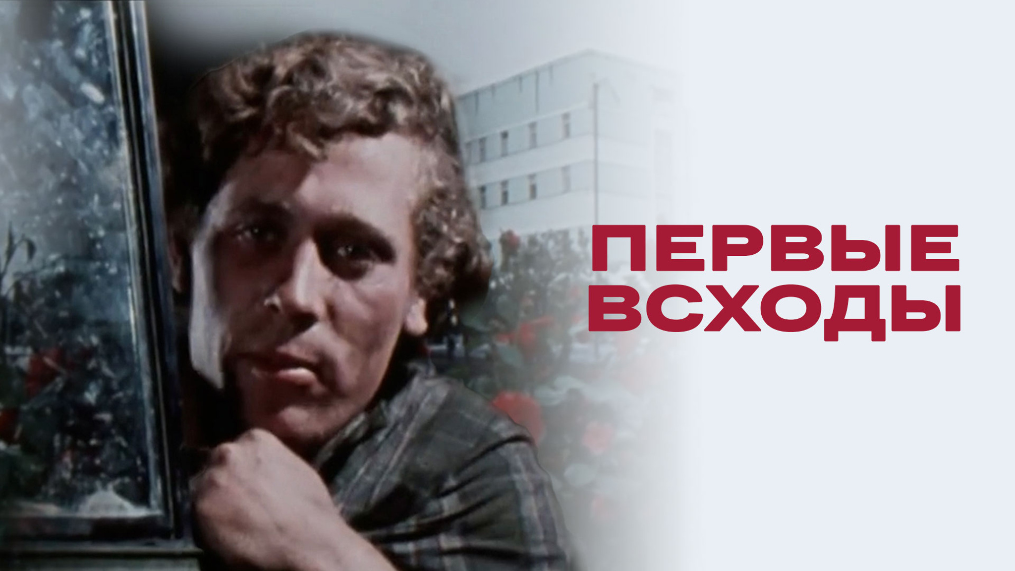 Первые всходы