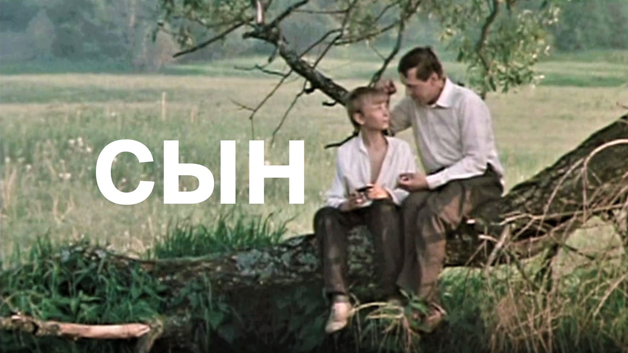 Сын