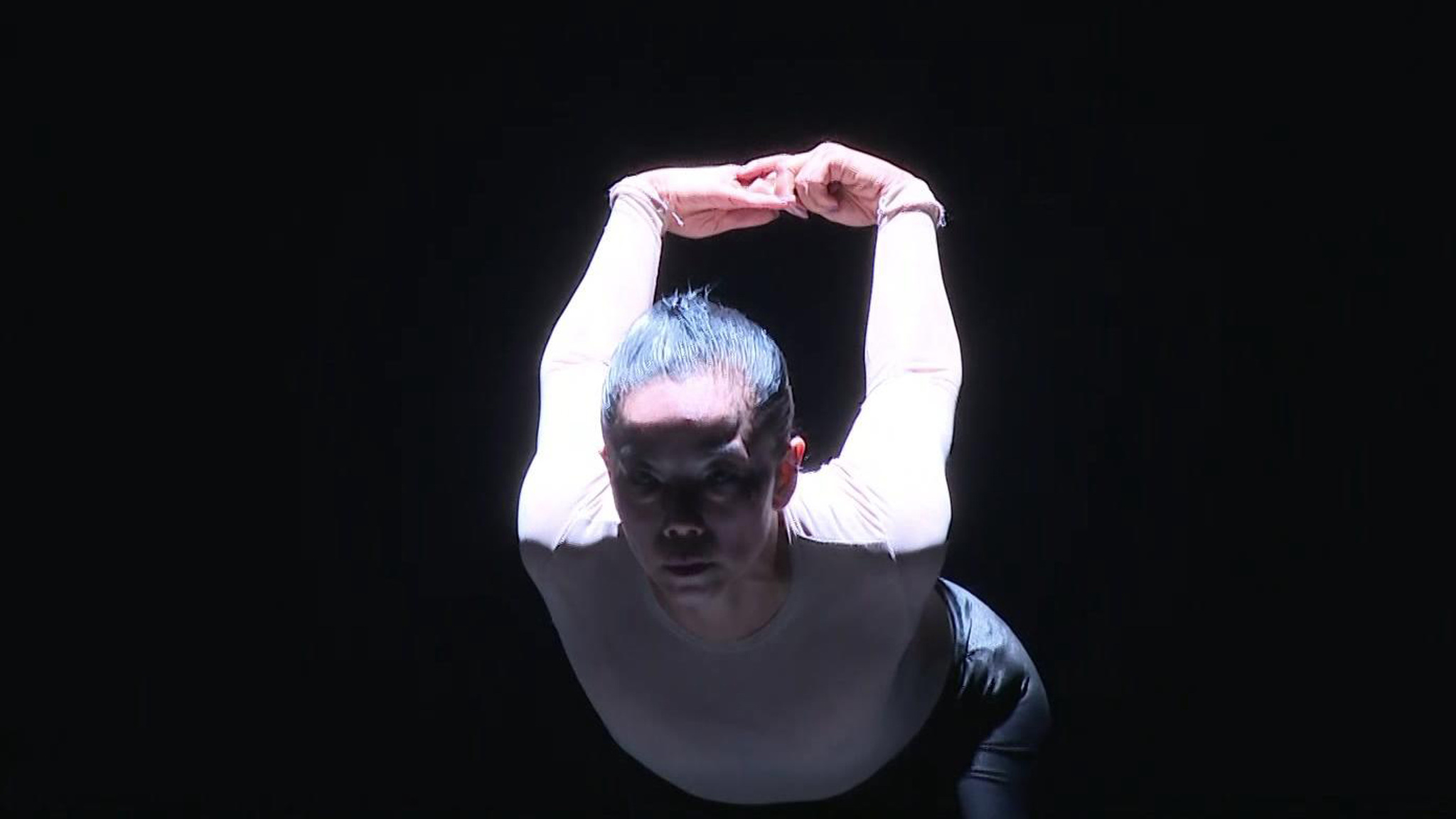 На фестивале Dance Open выступили артисты из Бразилии
