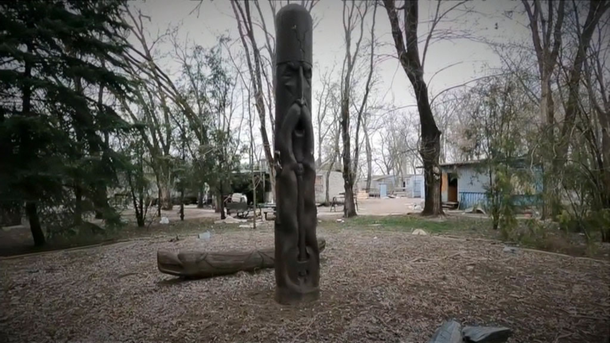 Секта черного солнца