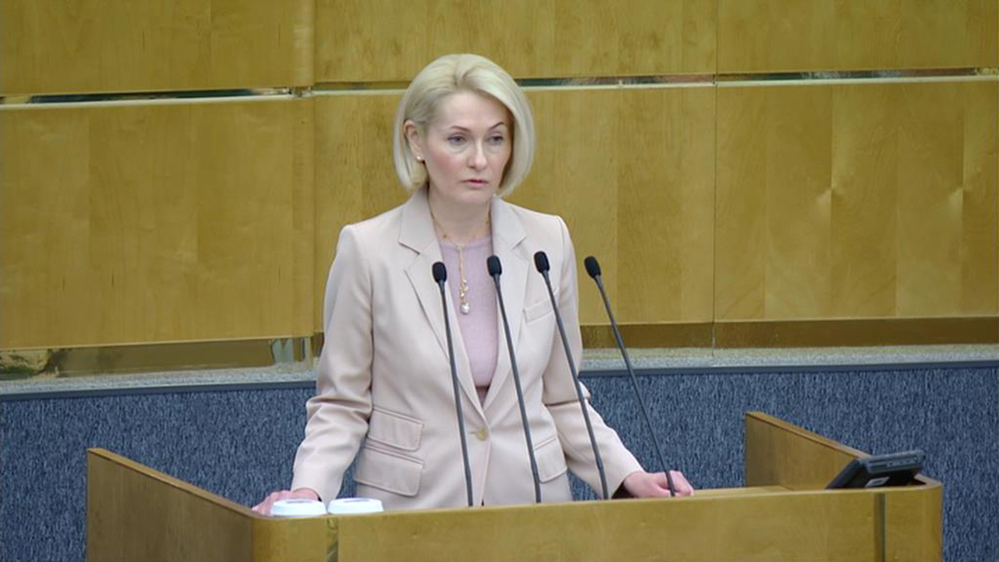 Абрамченко рассказала Госдуме об экологических планах правительства