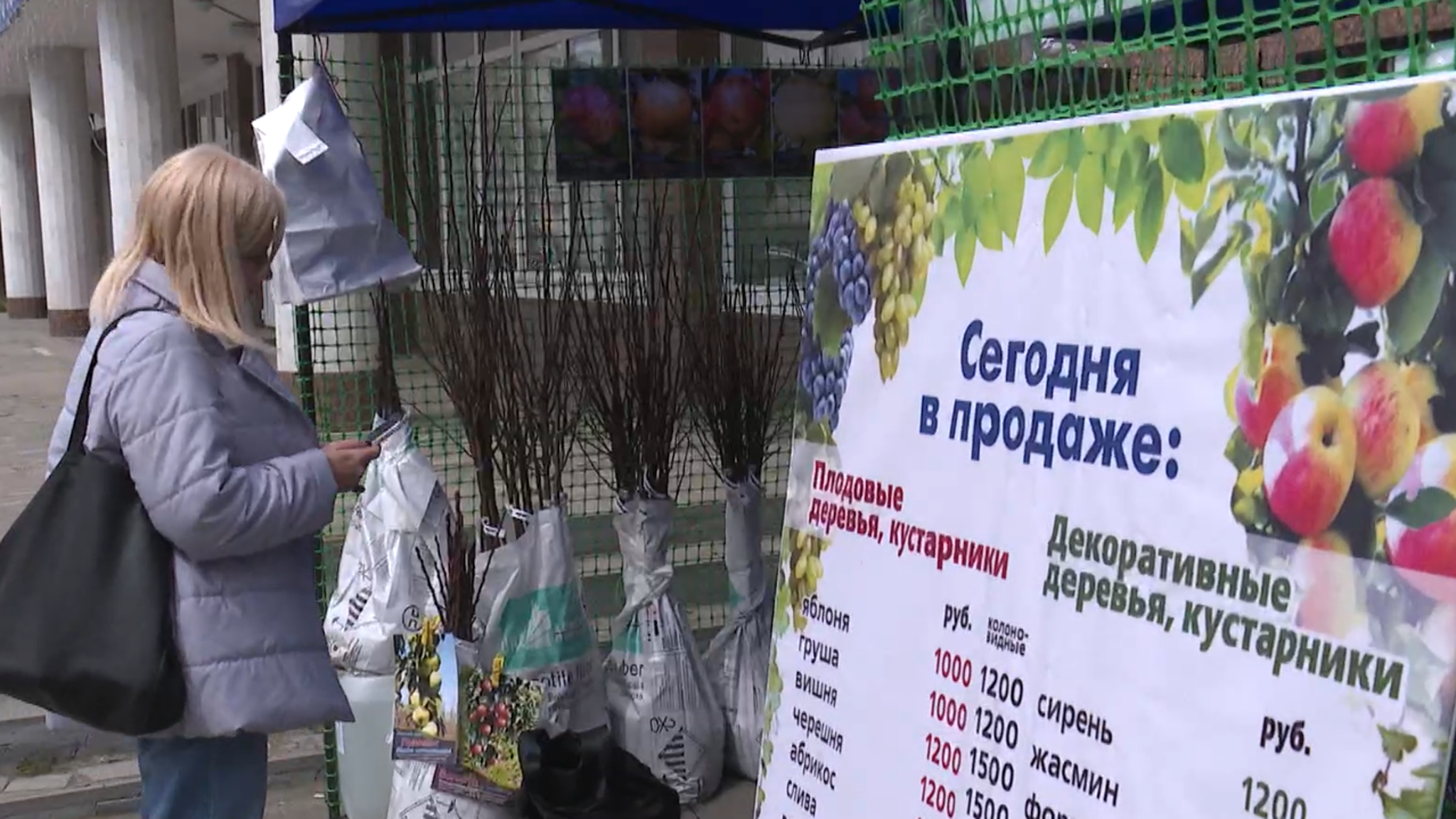 Новые саженцы иркутского плодопитомника появились на ярмарках в Приморье