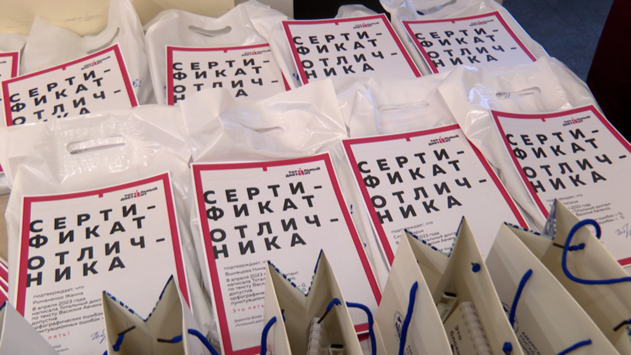 Девять амурчан написали "Тотальный диктант" на "отлично"