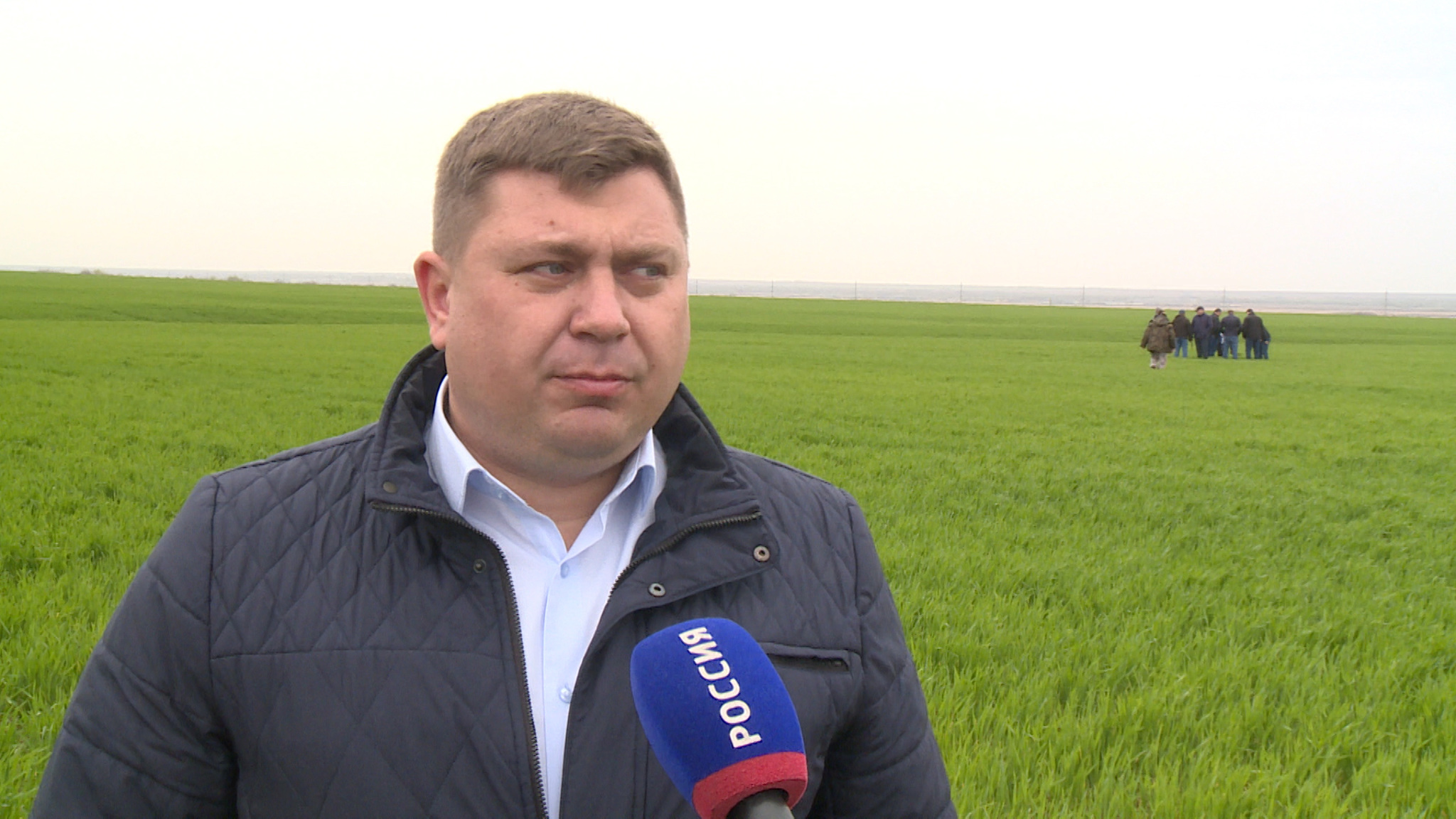 В Волгоградской области эксперты проводят мониторинги по выявлению кубышек саранчи