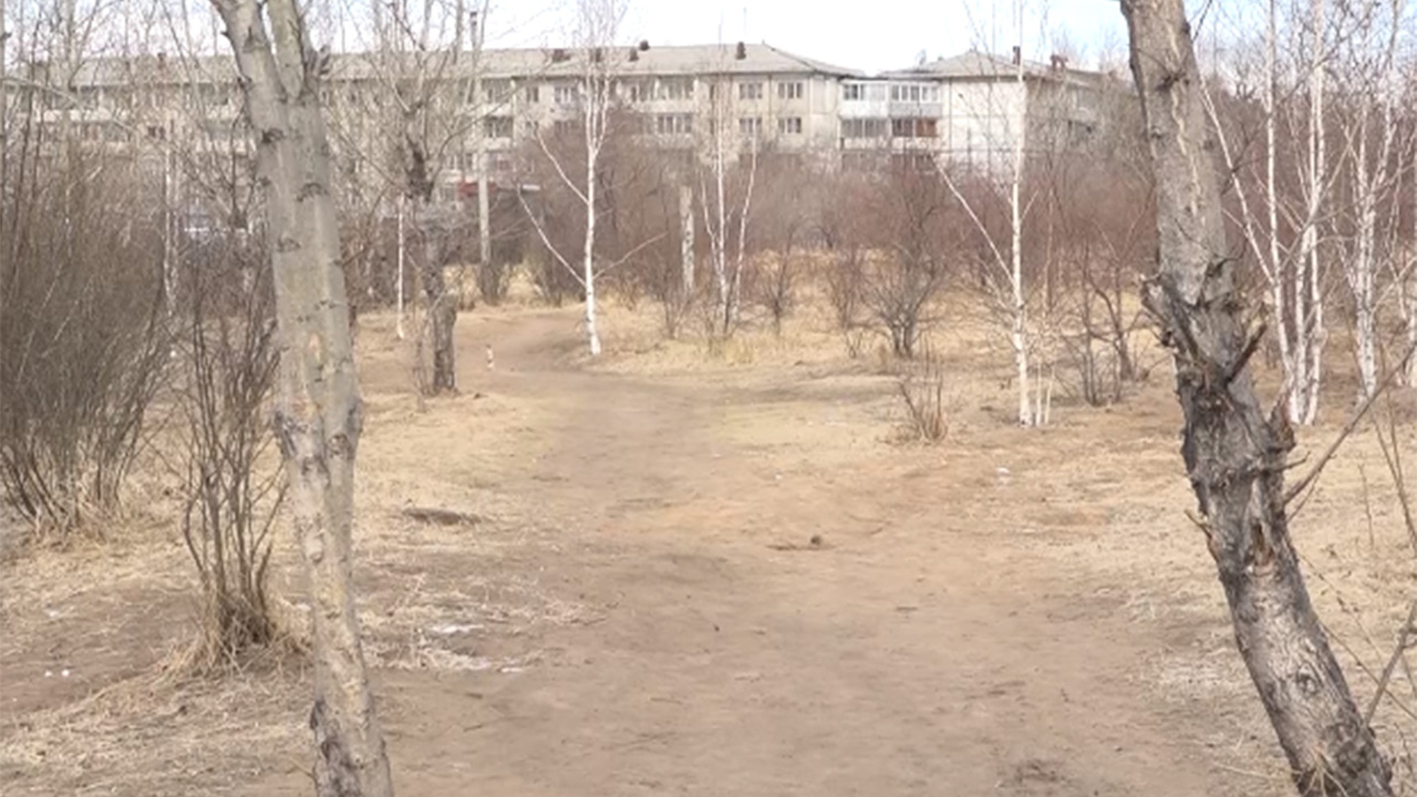 Забайкальцы могут проголосовать за благоустройство общественных пространств