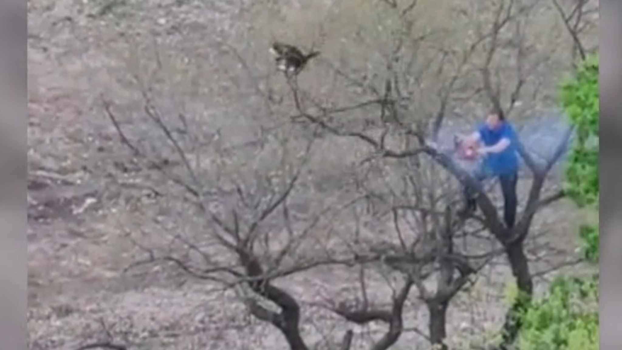 Необычное спасение кота в Краснодаре сняли на видео