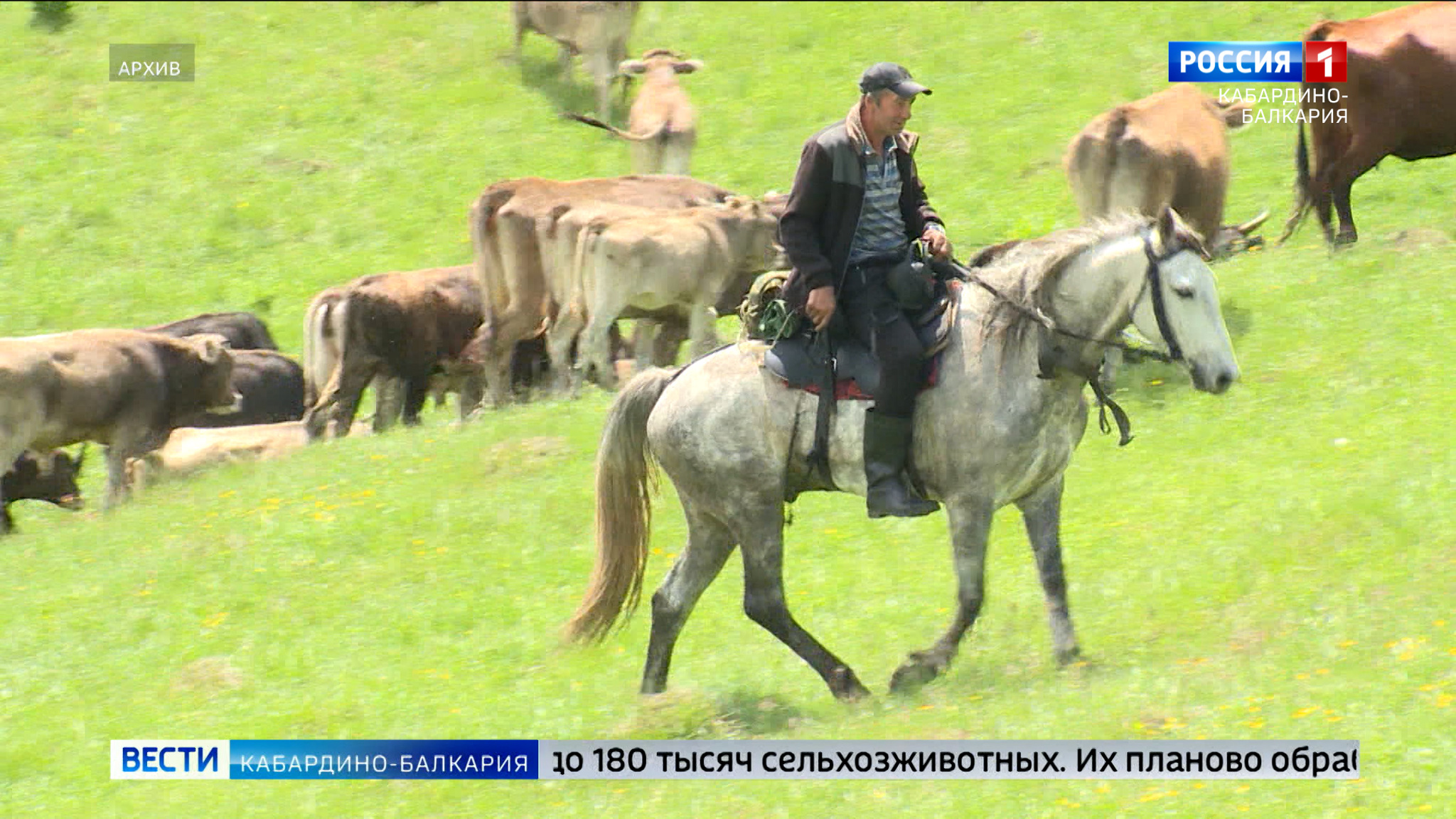 Животноводы КБР готовятся к пастбищному сезону