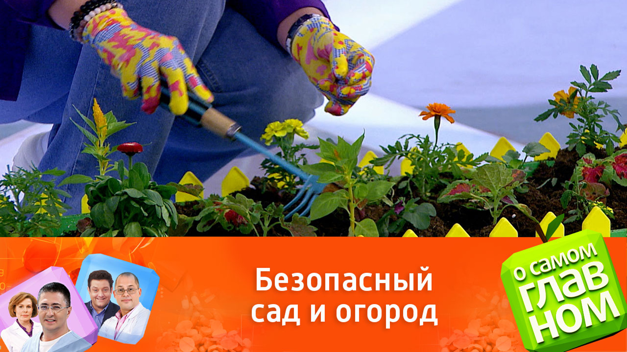 Что важно учитывать при обработке растений и деревьев реагентами?