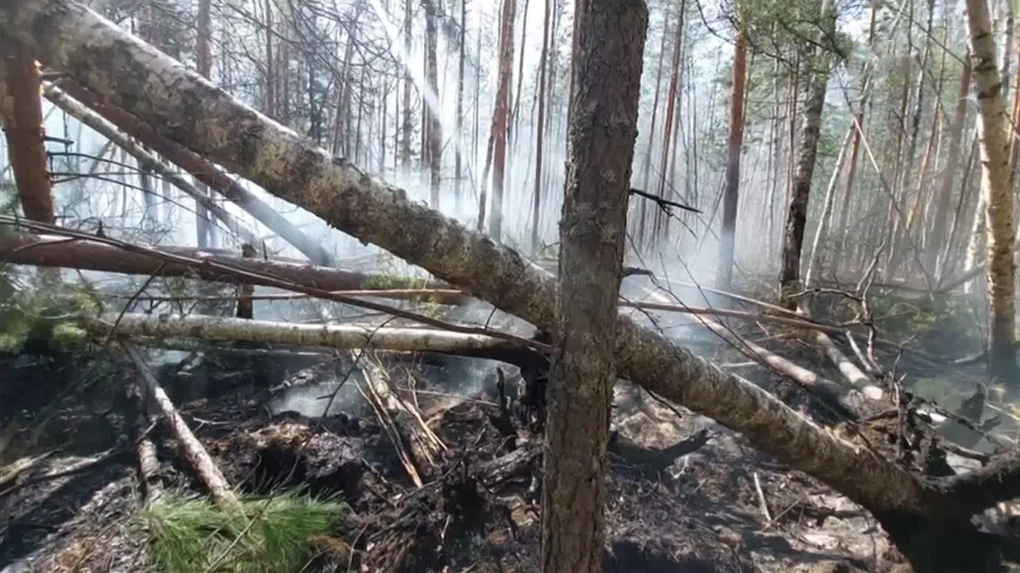 На помощь курганским спасателям прибыли огнеборцы из Югры