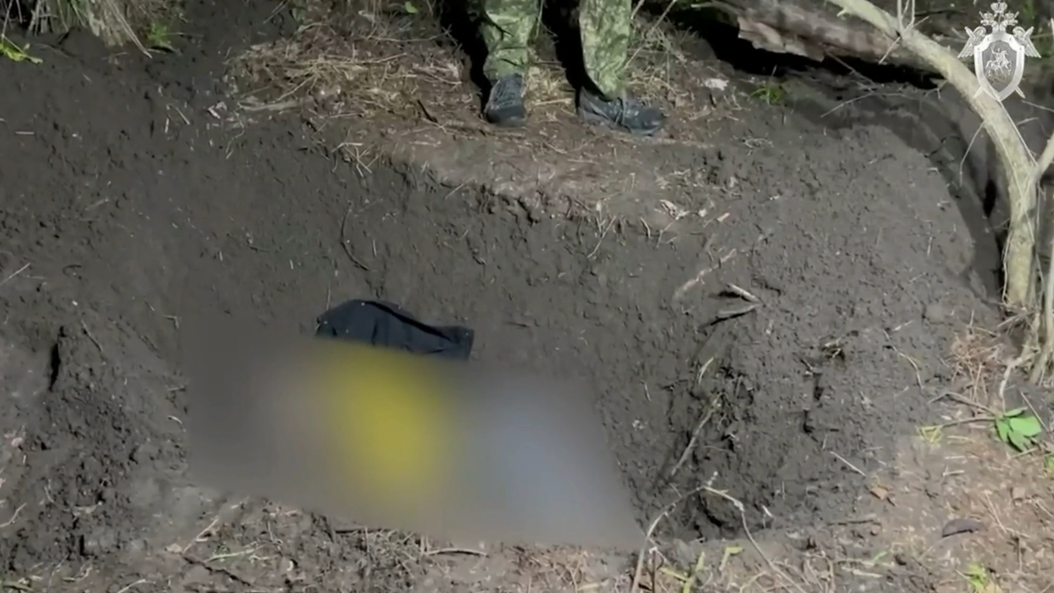 СК показал видео с места, где был спрятан труп девушки-аниматора