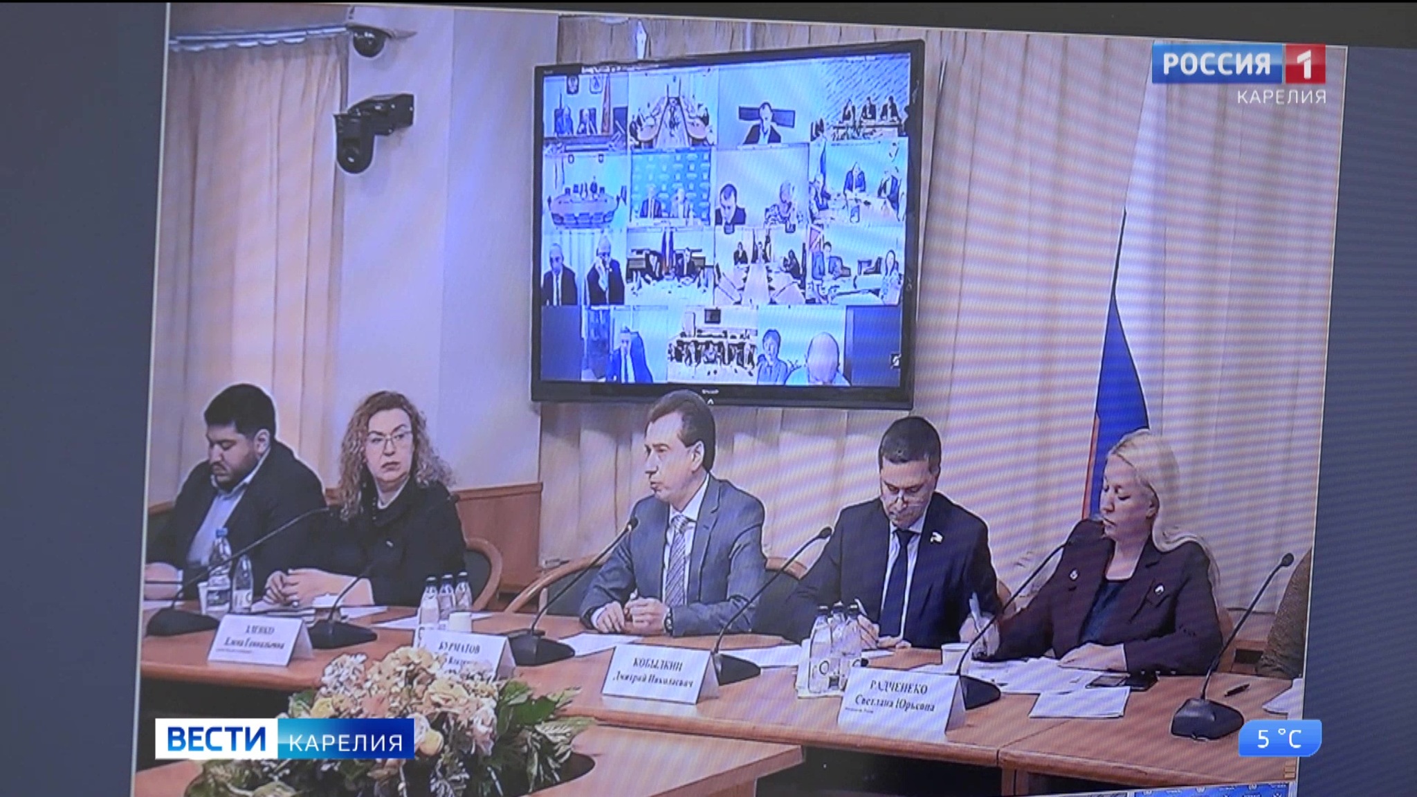 Поправки в Федеральный закон "Об ответственном обращении с животными" вызвали дискуссию среди общественников
