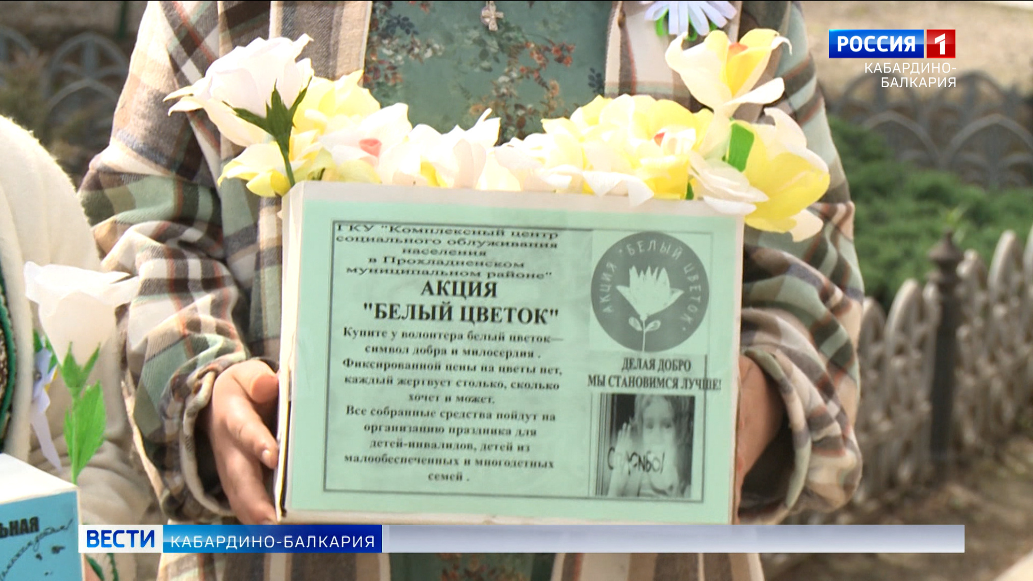 В Прохладном проходит благотворительная акция "Белый цветок"