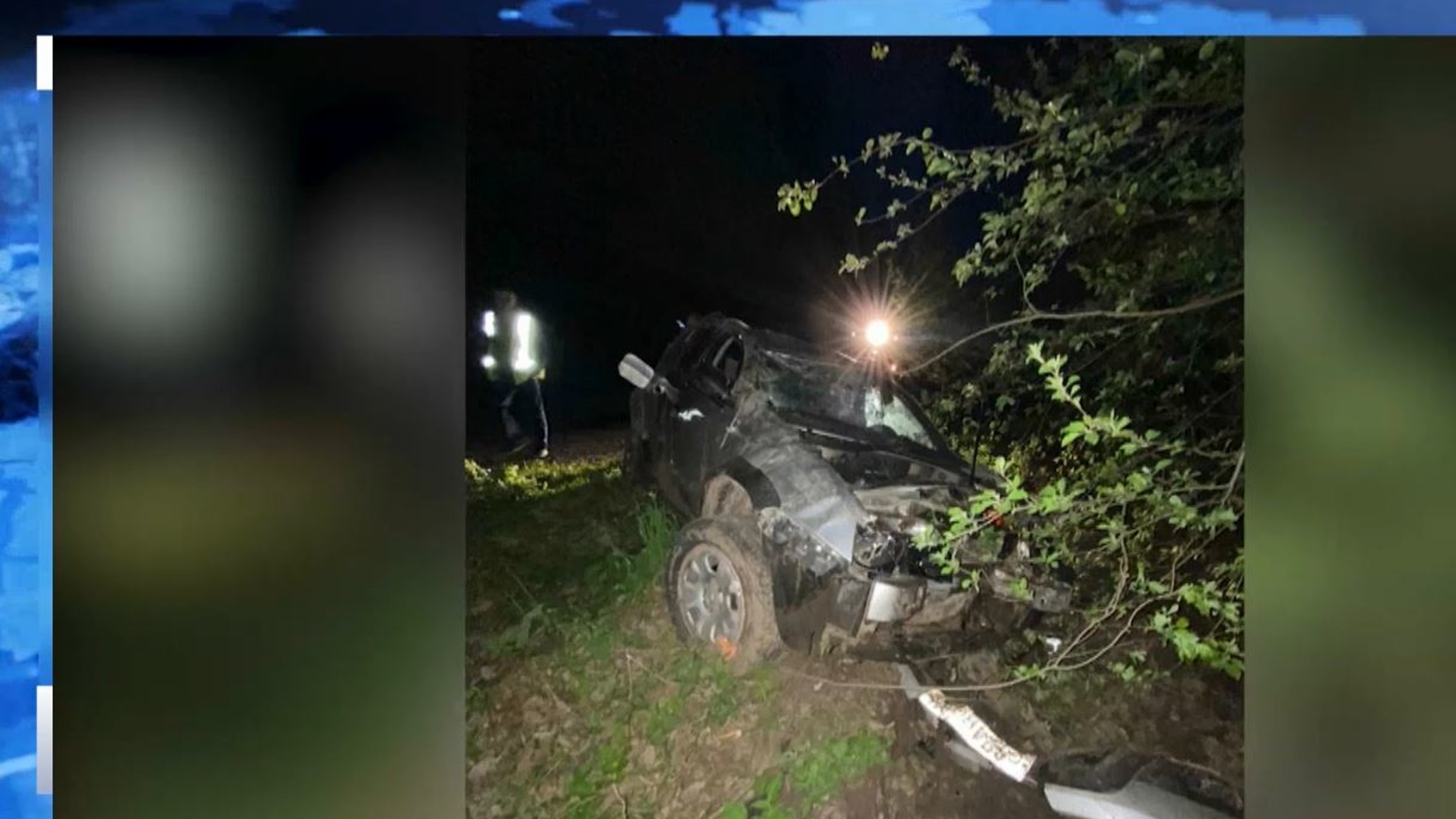 Медведь попал под колёса автомашины на трассе в Марий Эл