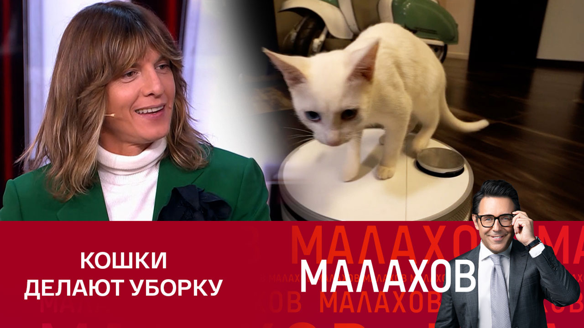 Влад Лисовец о кошке-домработнице