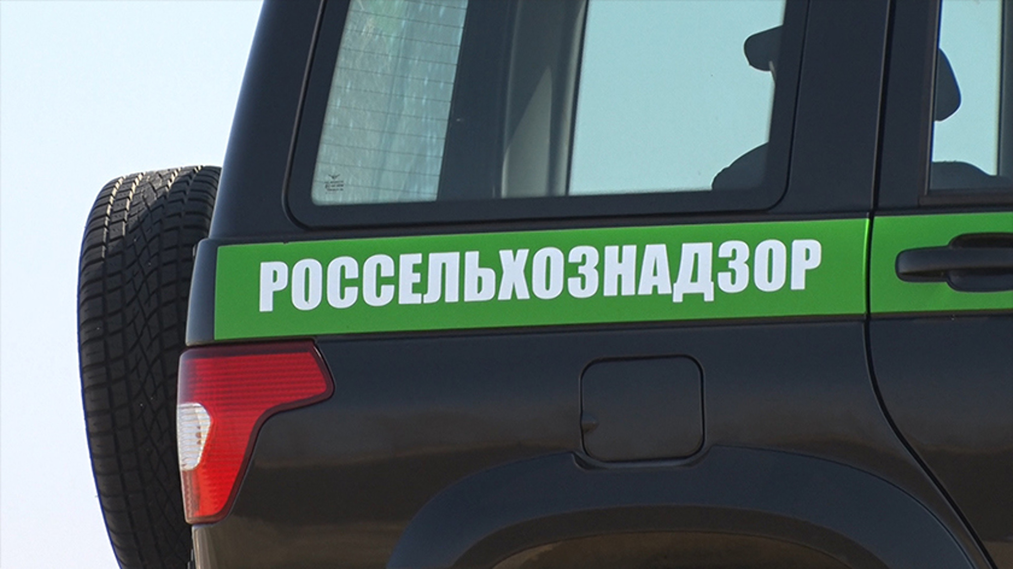Амурчане могут потерять земельные участки из-за мусора